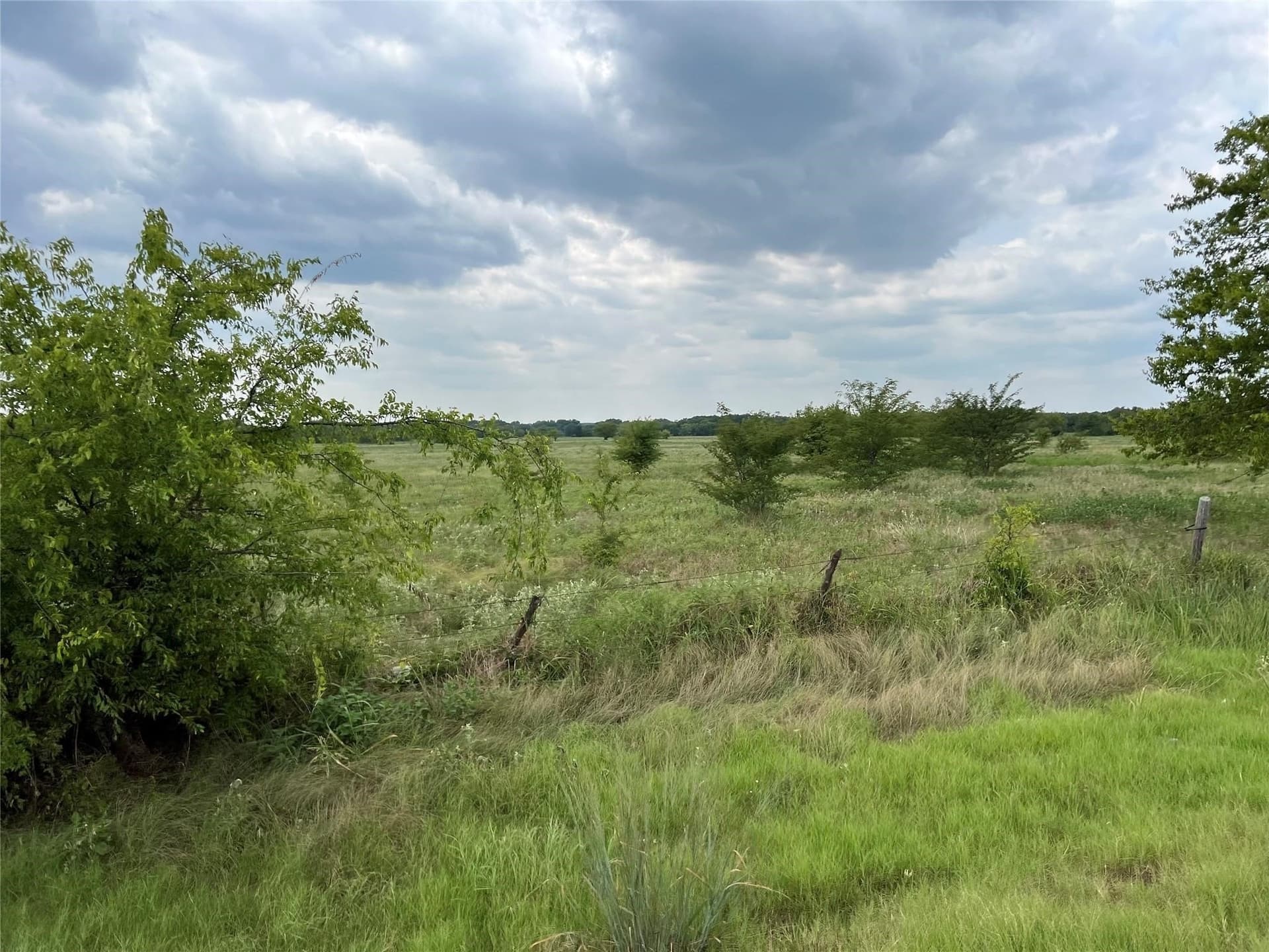 53.45 acres in Hunt County - photo 5