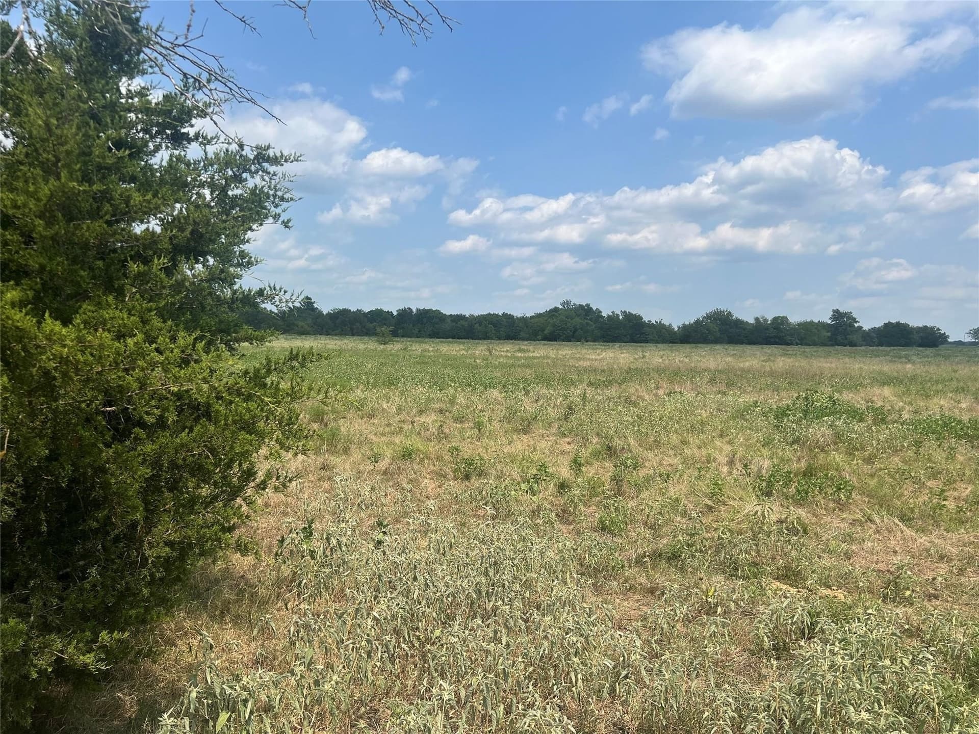 53.45 acres in Hunt County - photo 12