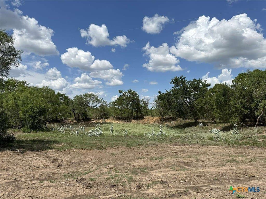 10.83 acres in Wilson County - photo 4