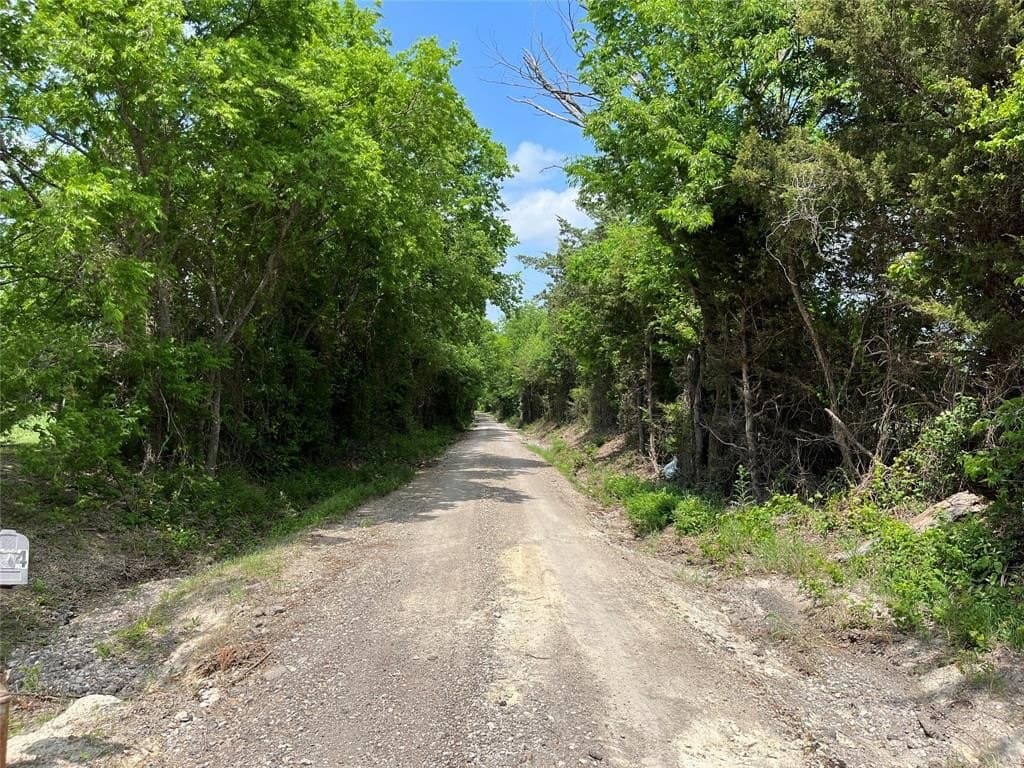 14.19 acres in Fannin County featured view