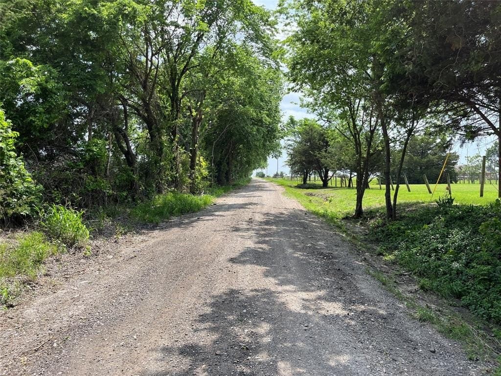 14.19 acres in Fannin County gallery image 4