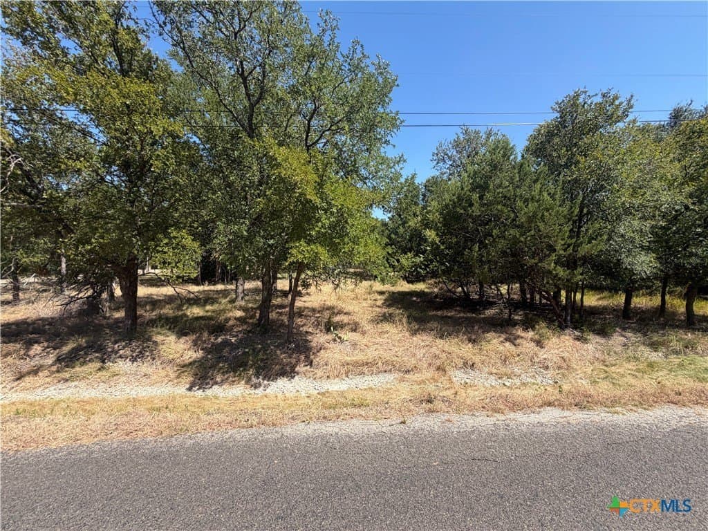 0.18 acres in Bell County - photo 8