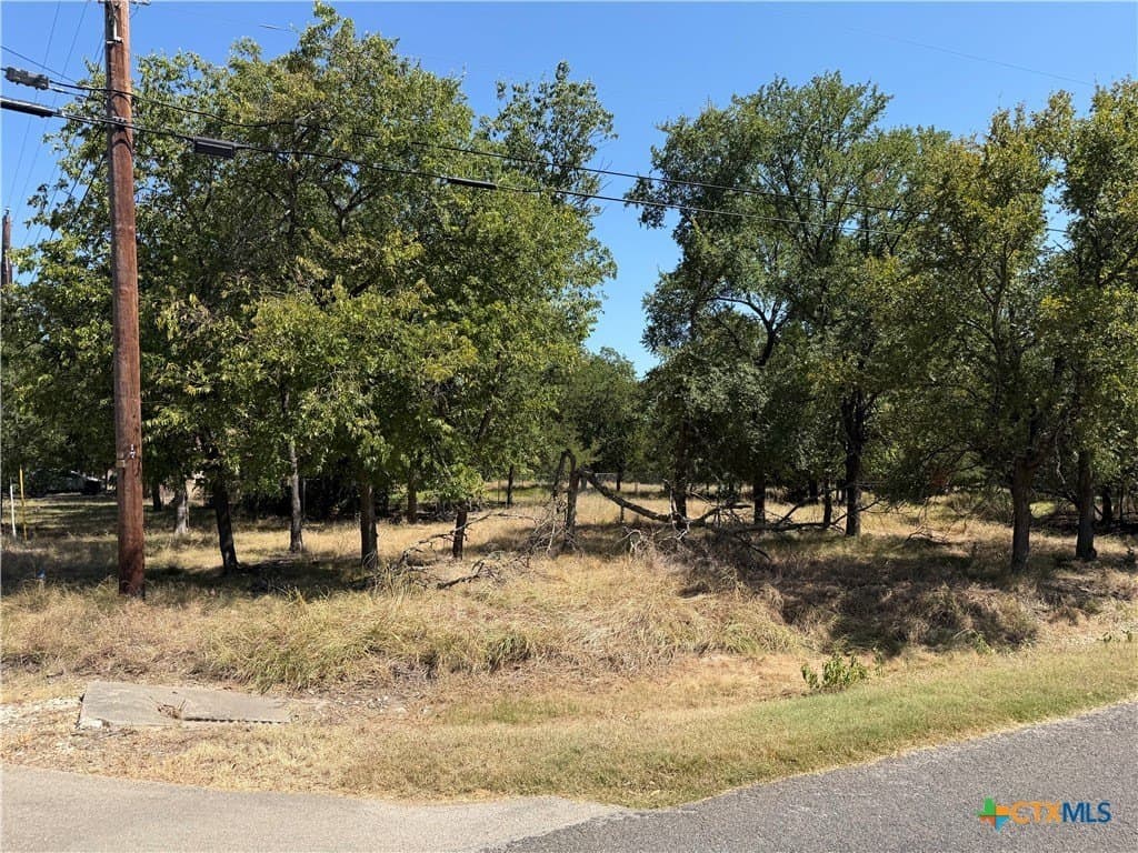 0.18 acres in Bell County - photo 6