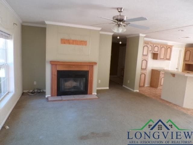 13.97 acres in Marion County gallery image 4