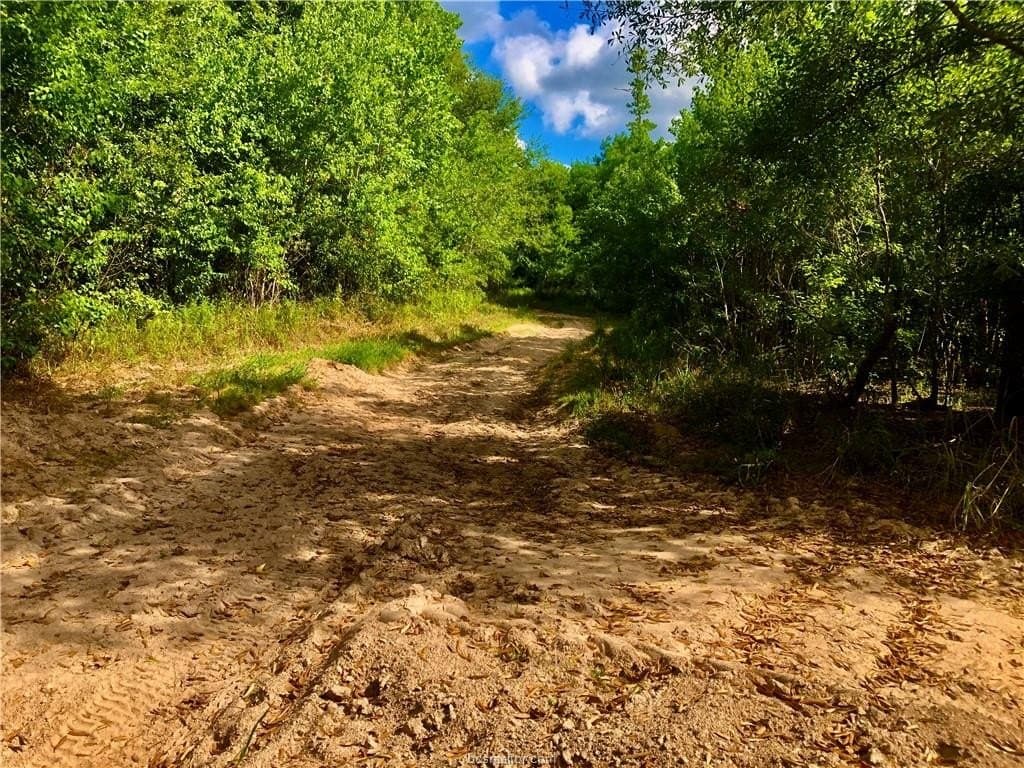 60.3 acres in Liberty County gallery image 4