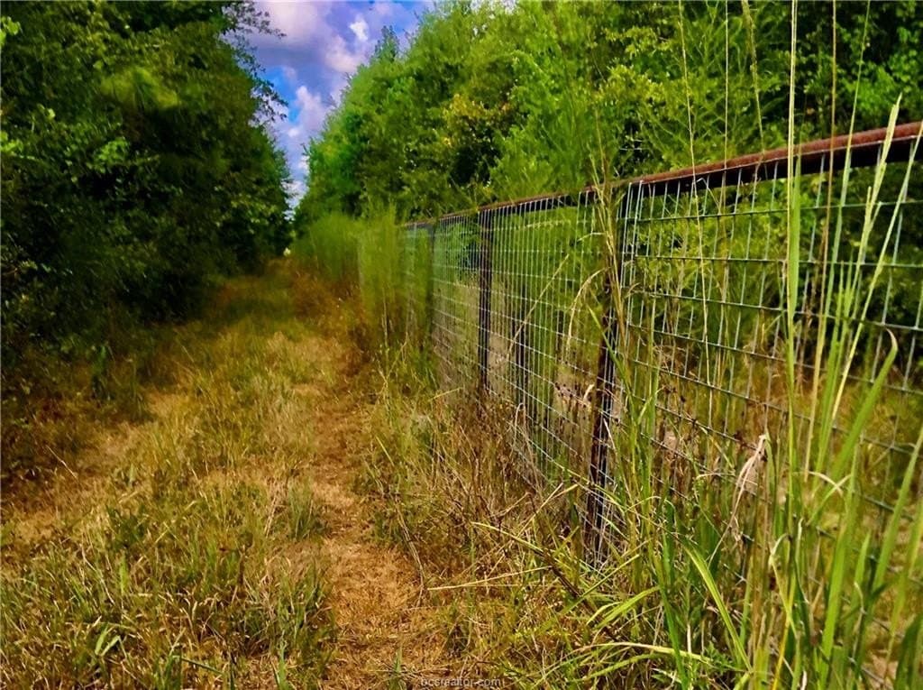 60.3 acres in Liberty County gallery image 3