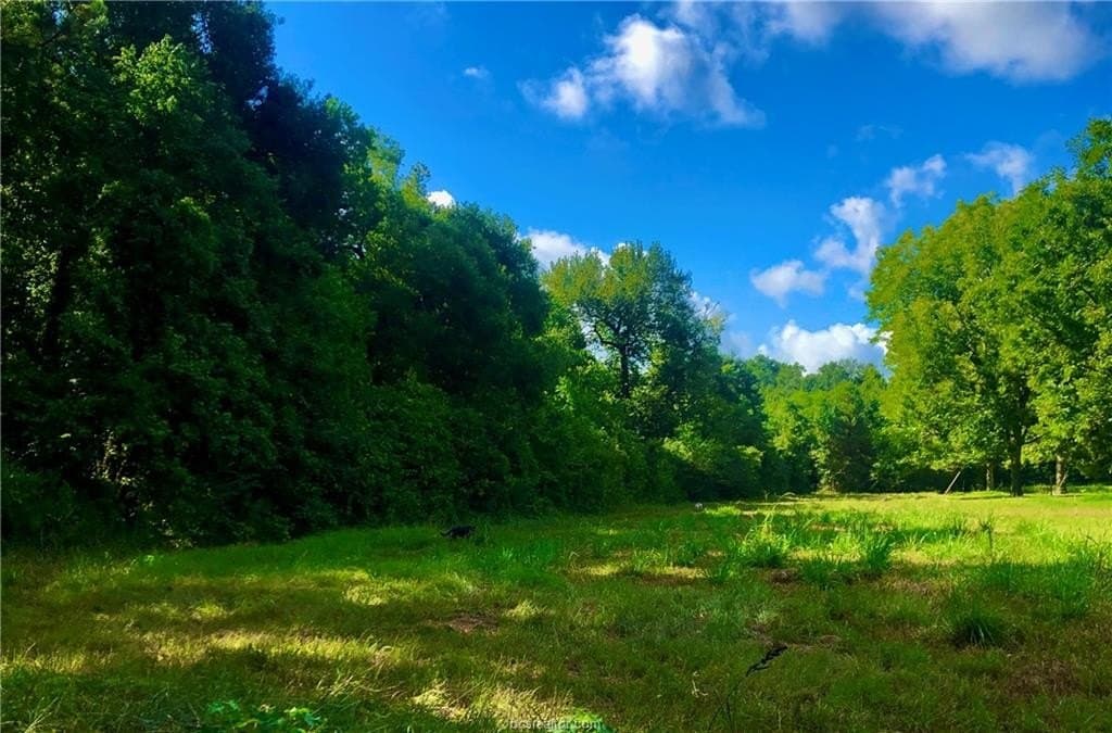 60.3 acres in Liberty County gallery image 2