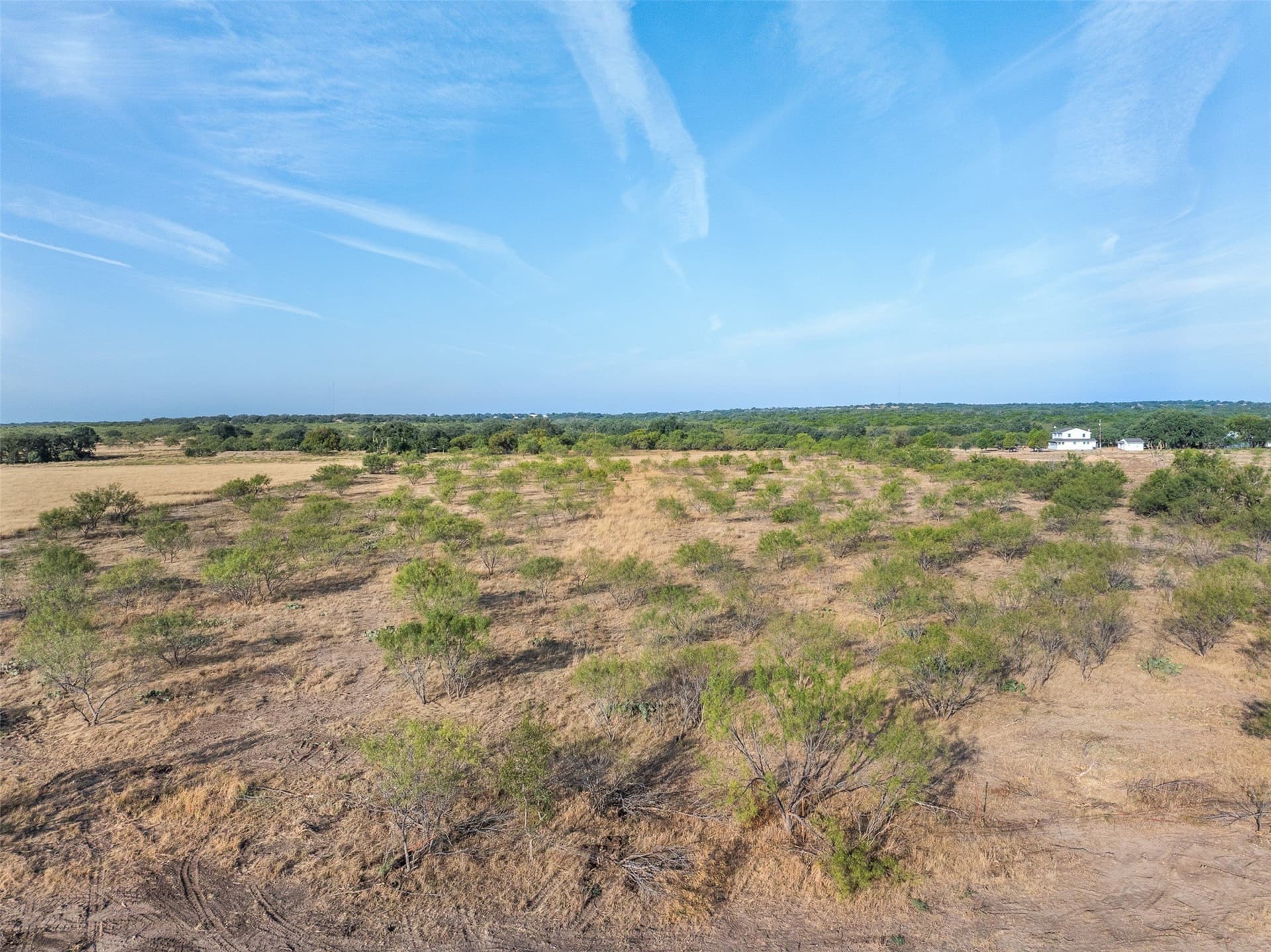 10 acres in McCulloch County gallery image 3