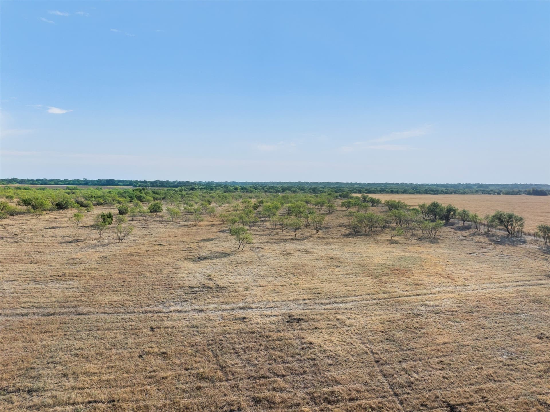 10 acres in McCulloch County gallery image 4