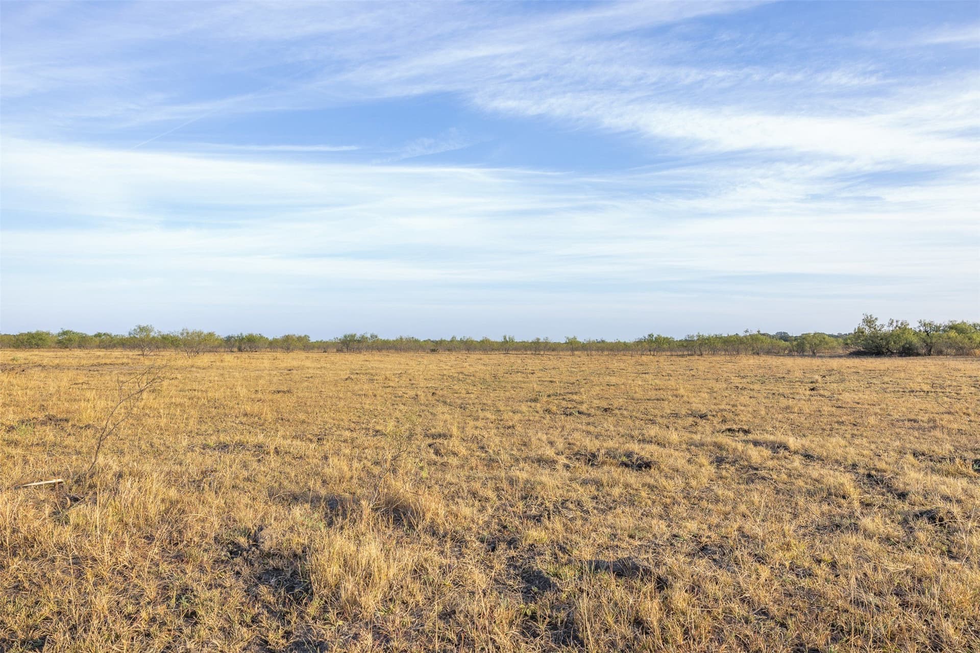 10 acres in McCulloch County - photo 10