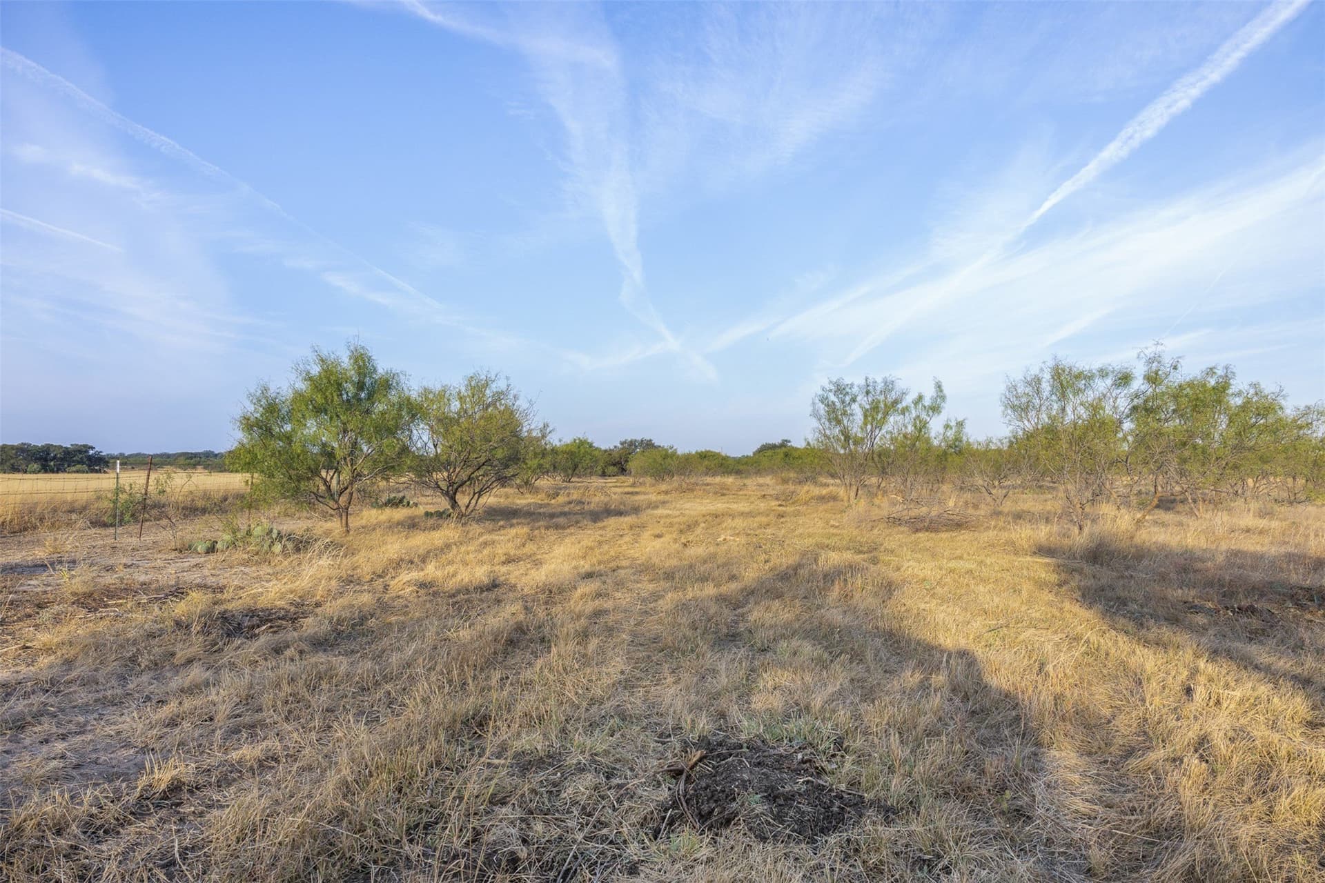 10 acres in McCulloch County - photo 11