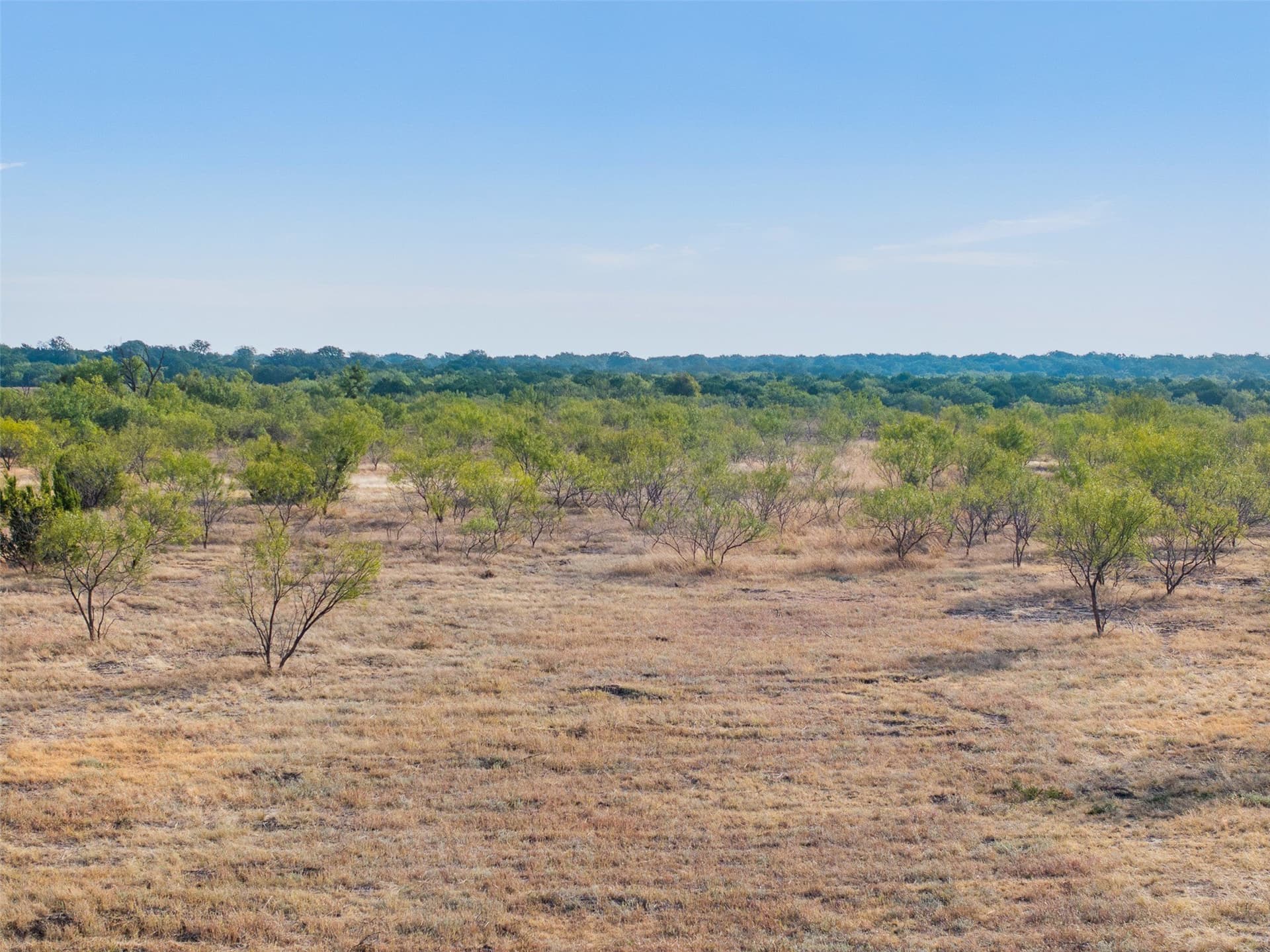 10 acres in McCulloch County - photo 6