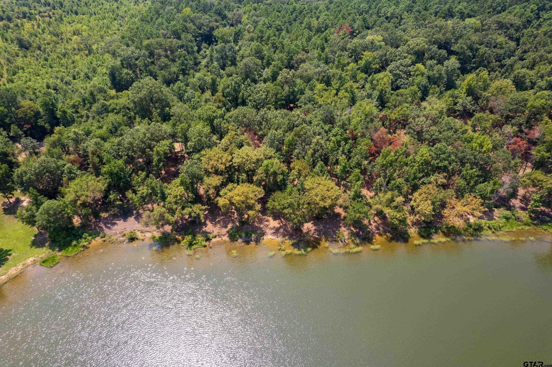 1.56 acres in Camp County - photo 10