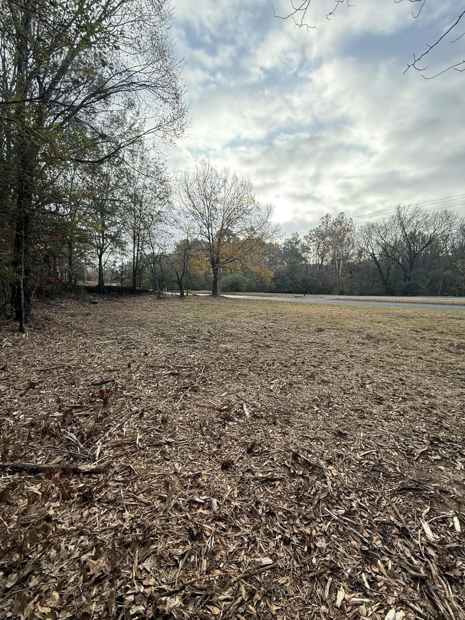 0.2 acres in Texas County gallery image 2