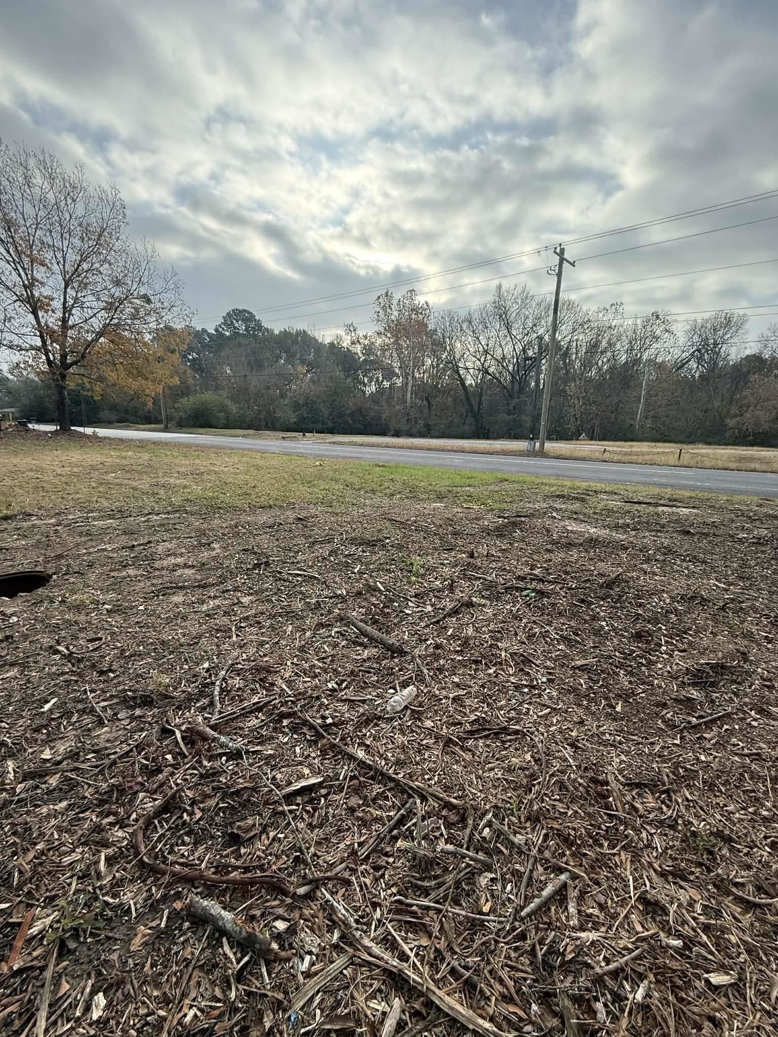 0.2 acres in Texas County gallery image 3