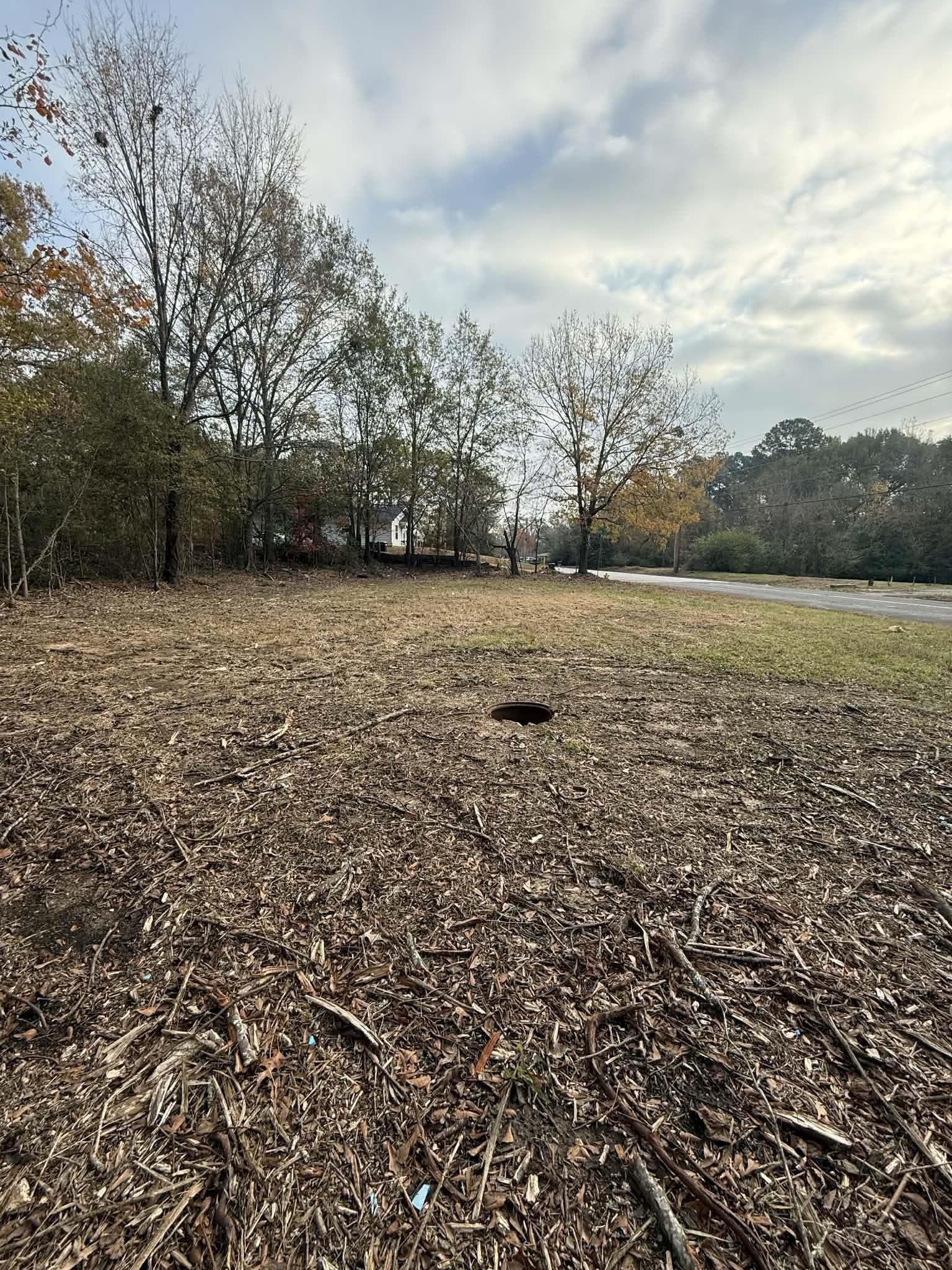 0.2 acres in Texas County gallery image 4