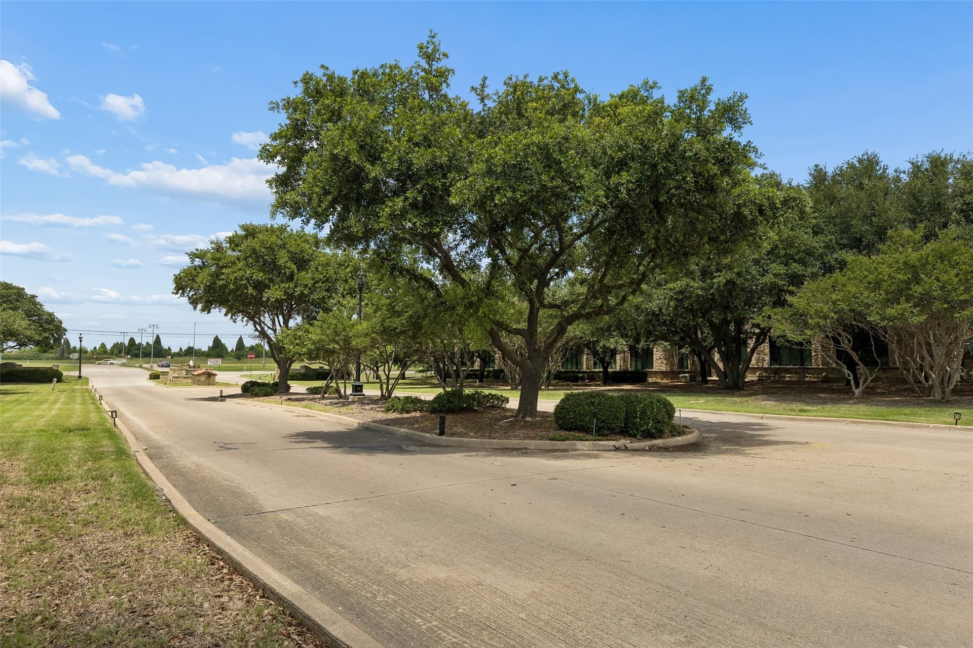 0.31 acres in Dallas County gallery image 4