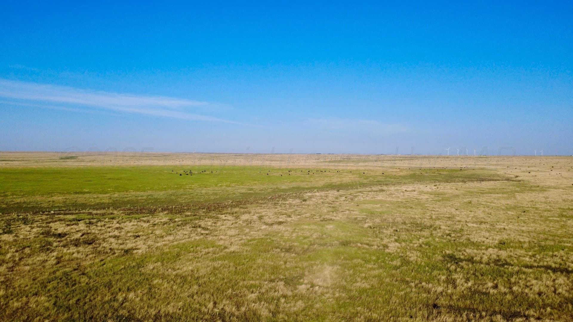 1,478 acres in Oldham County gallery image 4