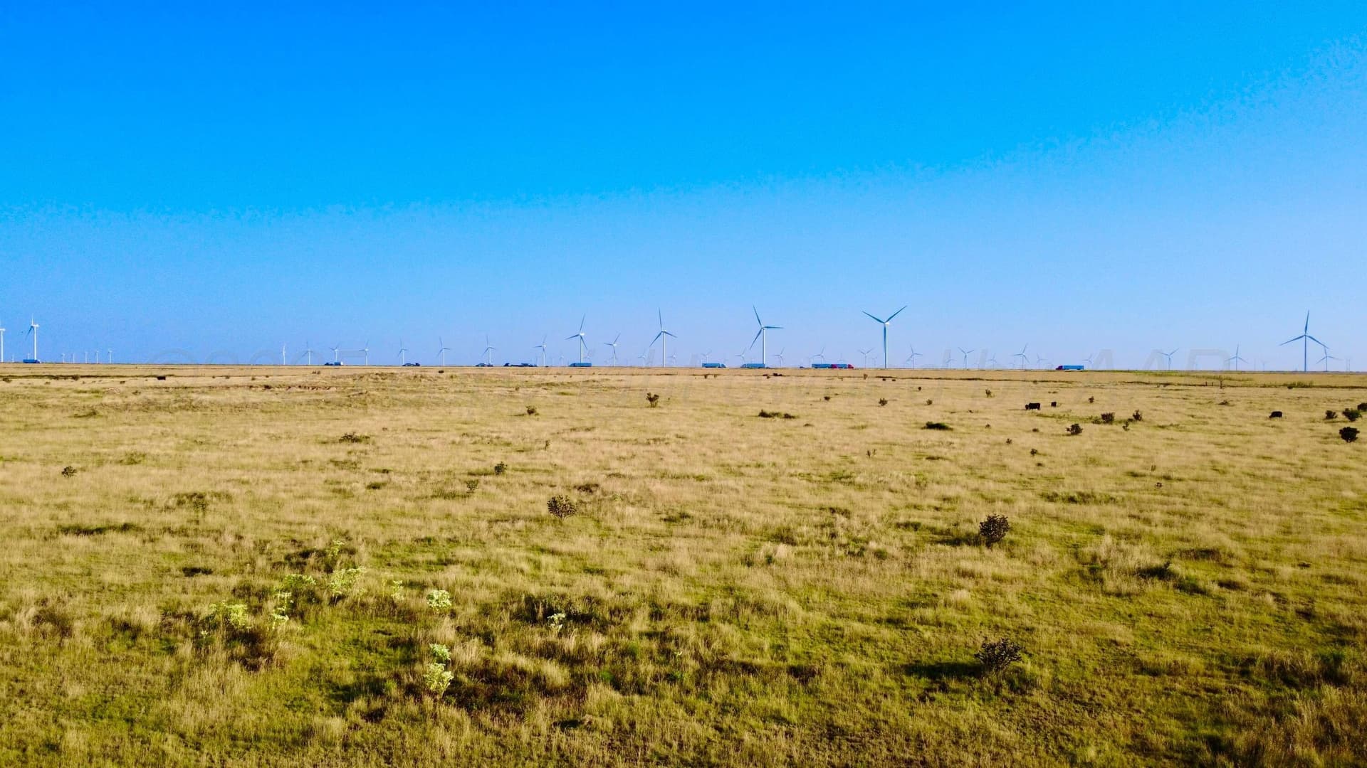 1,478 acres in Oldham County featured view