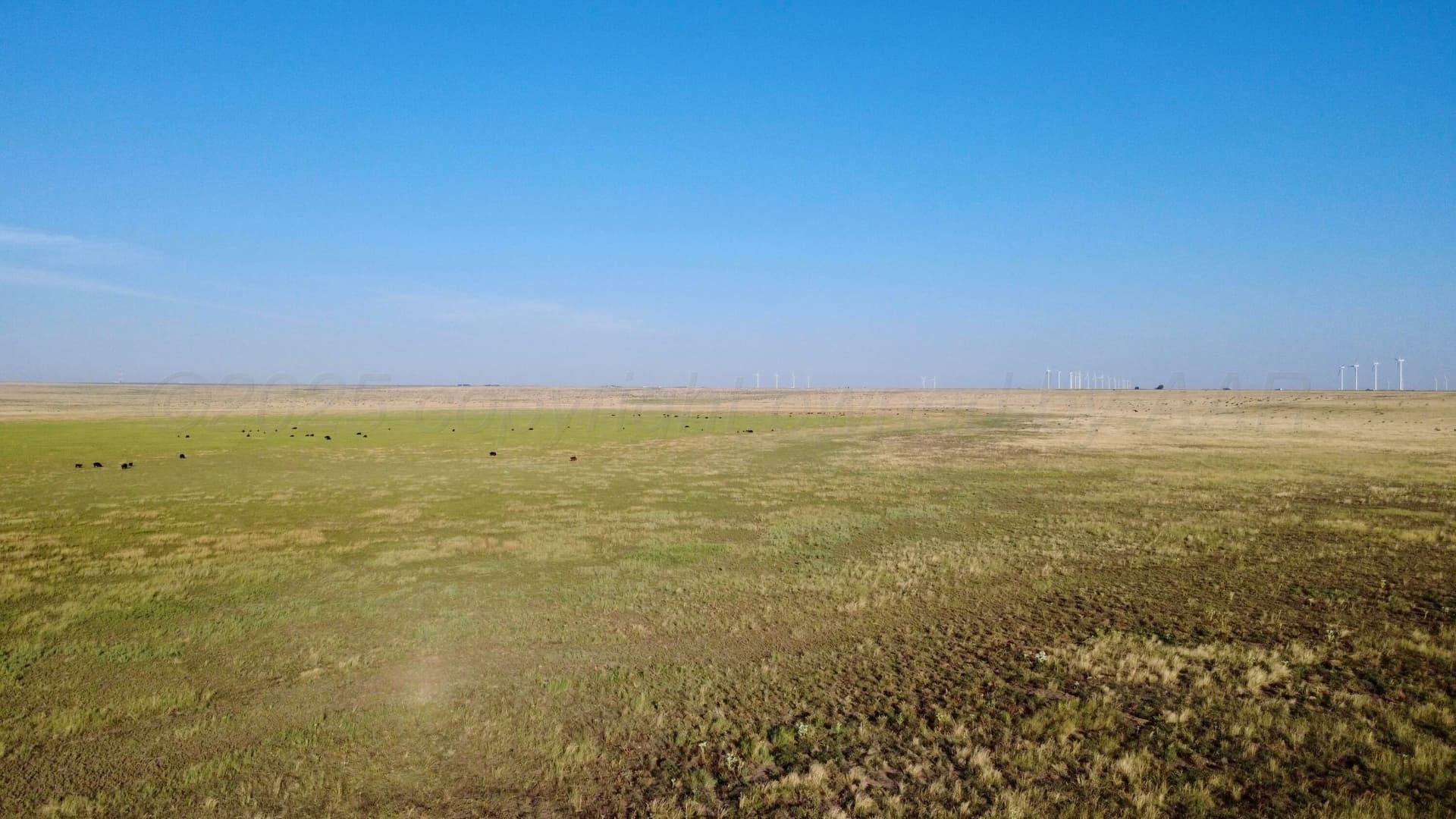 1,478 acres in Oldham County gallery image 3