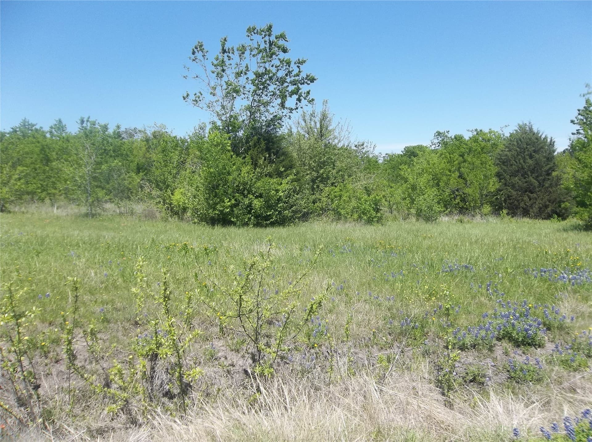 3 acres in Navarro County