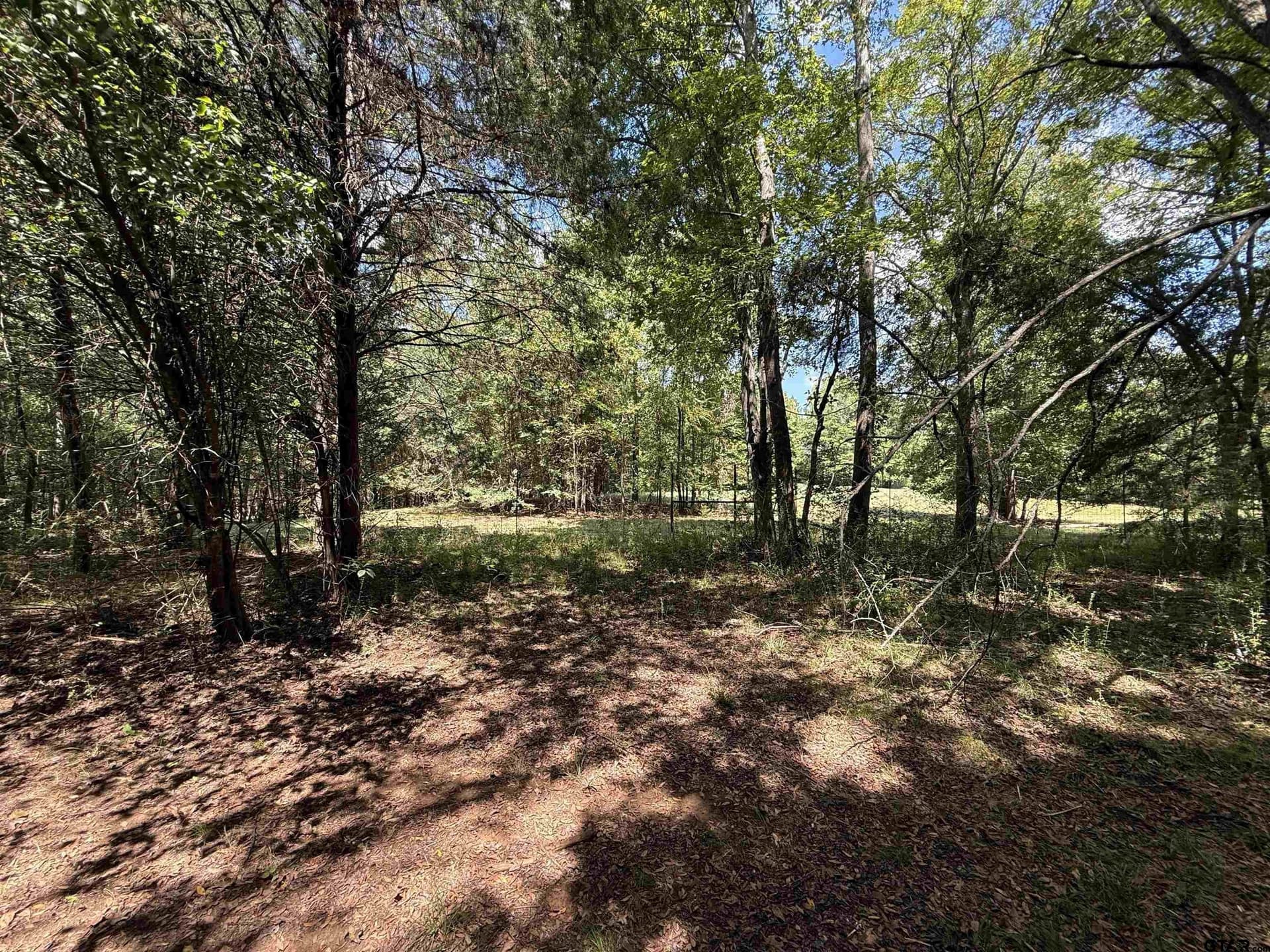 27.56 acres in Cherokee County - photo 7