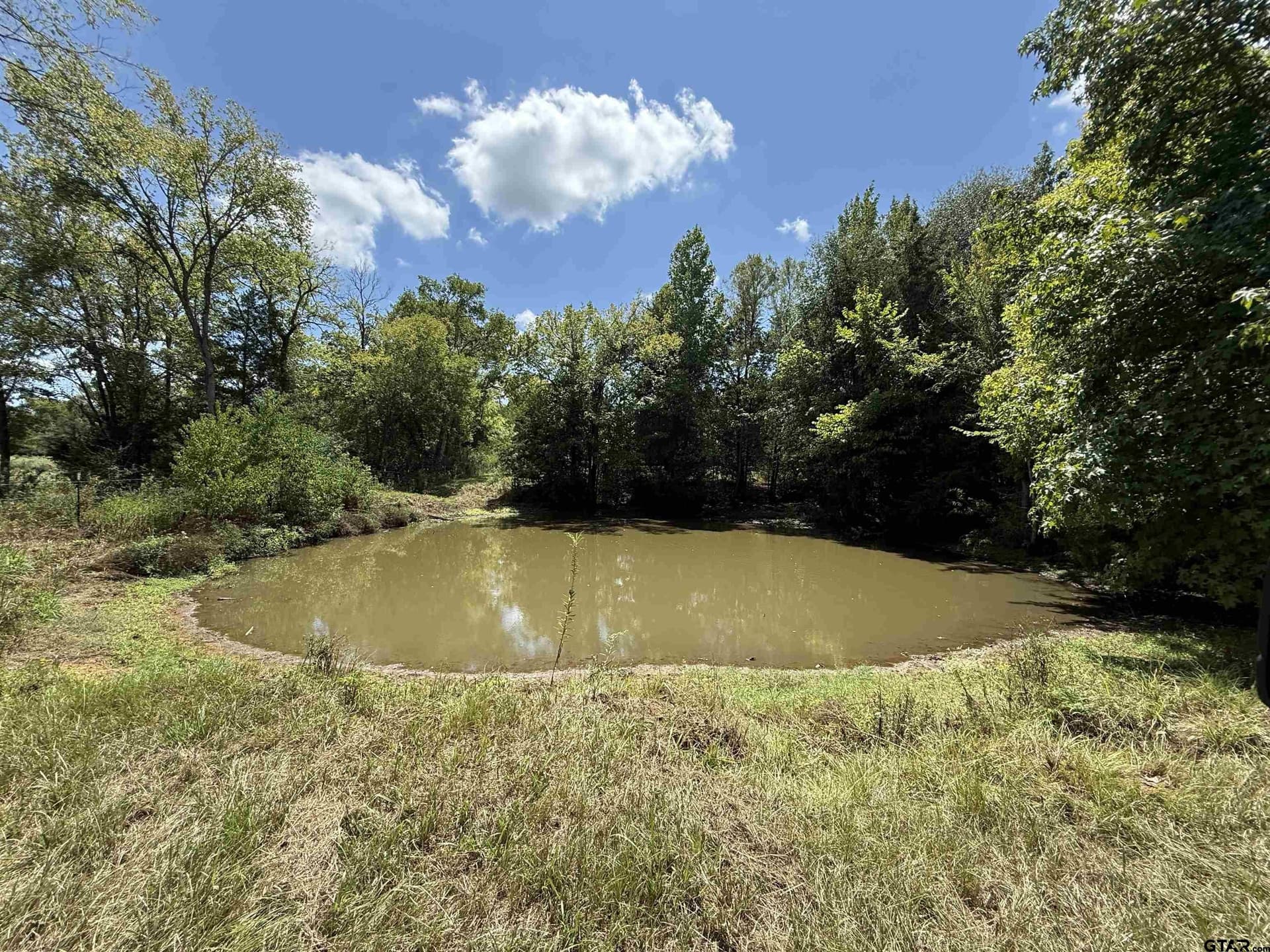27.56 acres in Cherokee County - photo 5