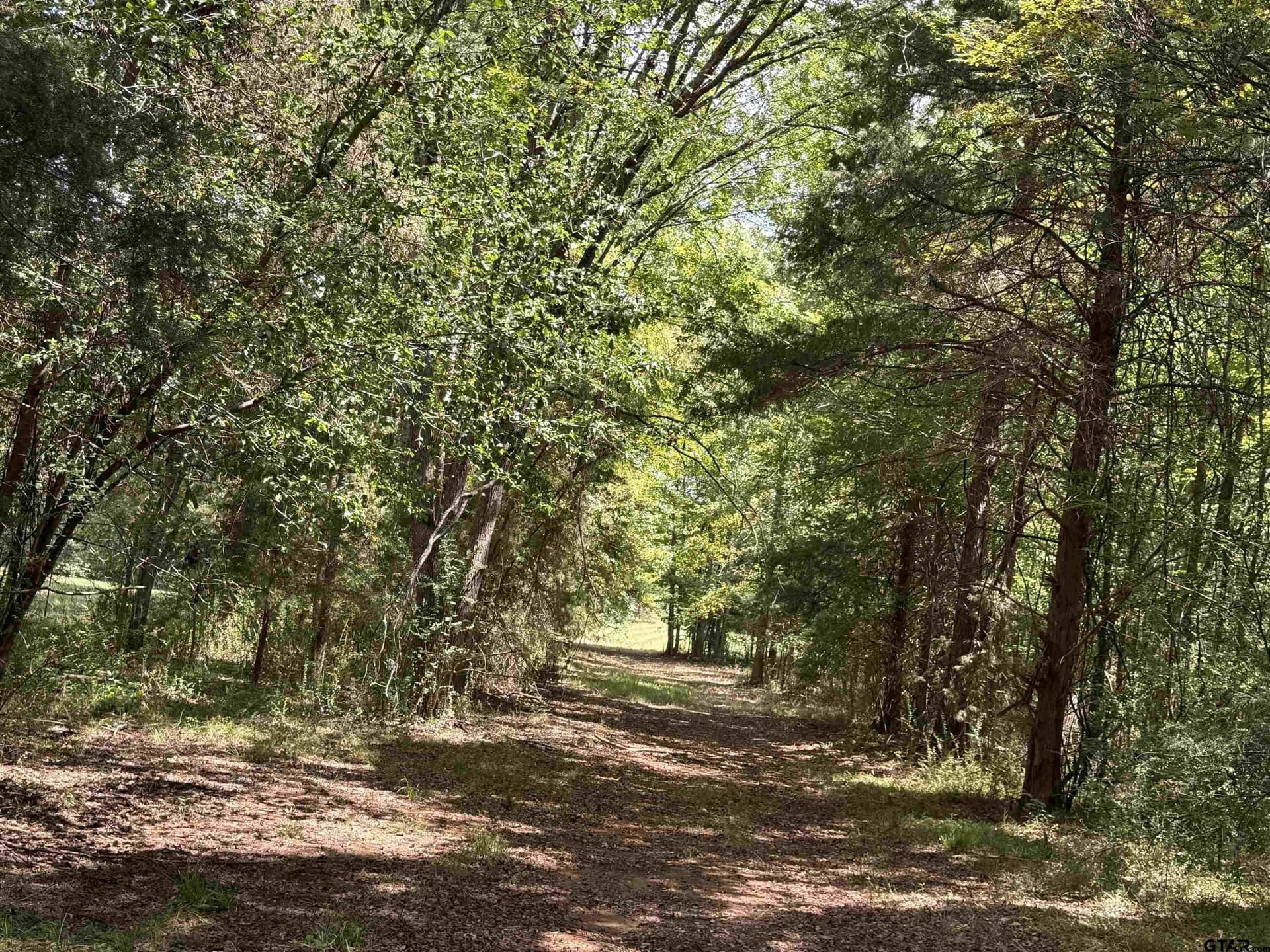 27.56 acres in Cherokee County - photo 6
