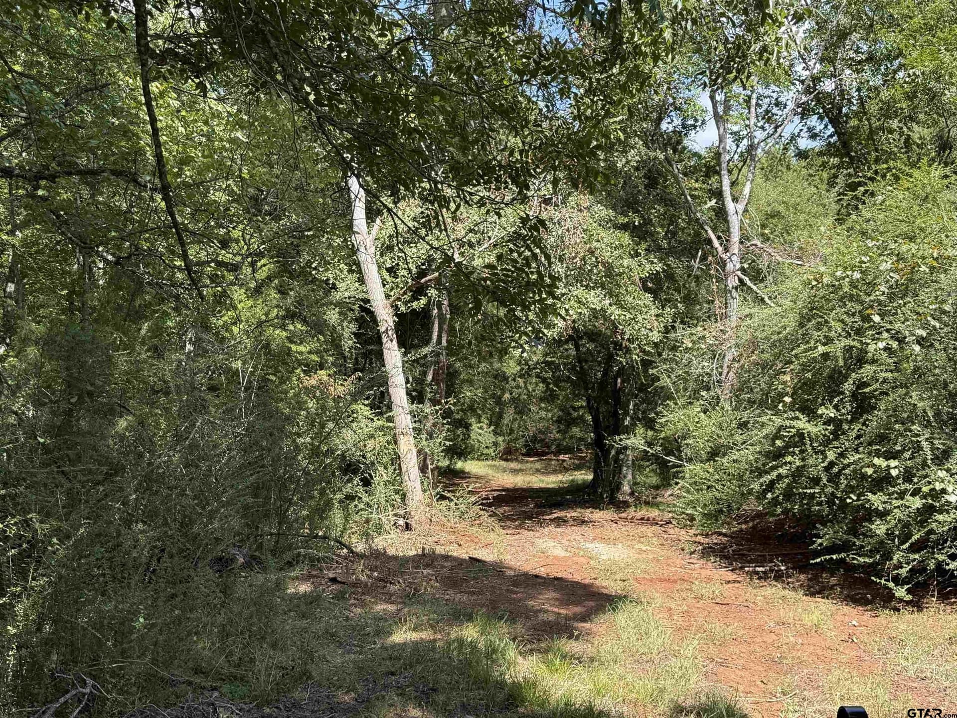27.56 acres in Cherokee County - photo 4