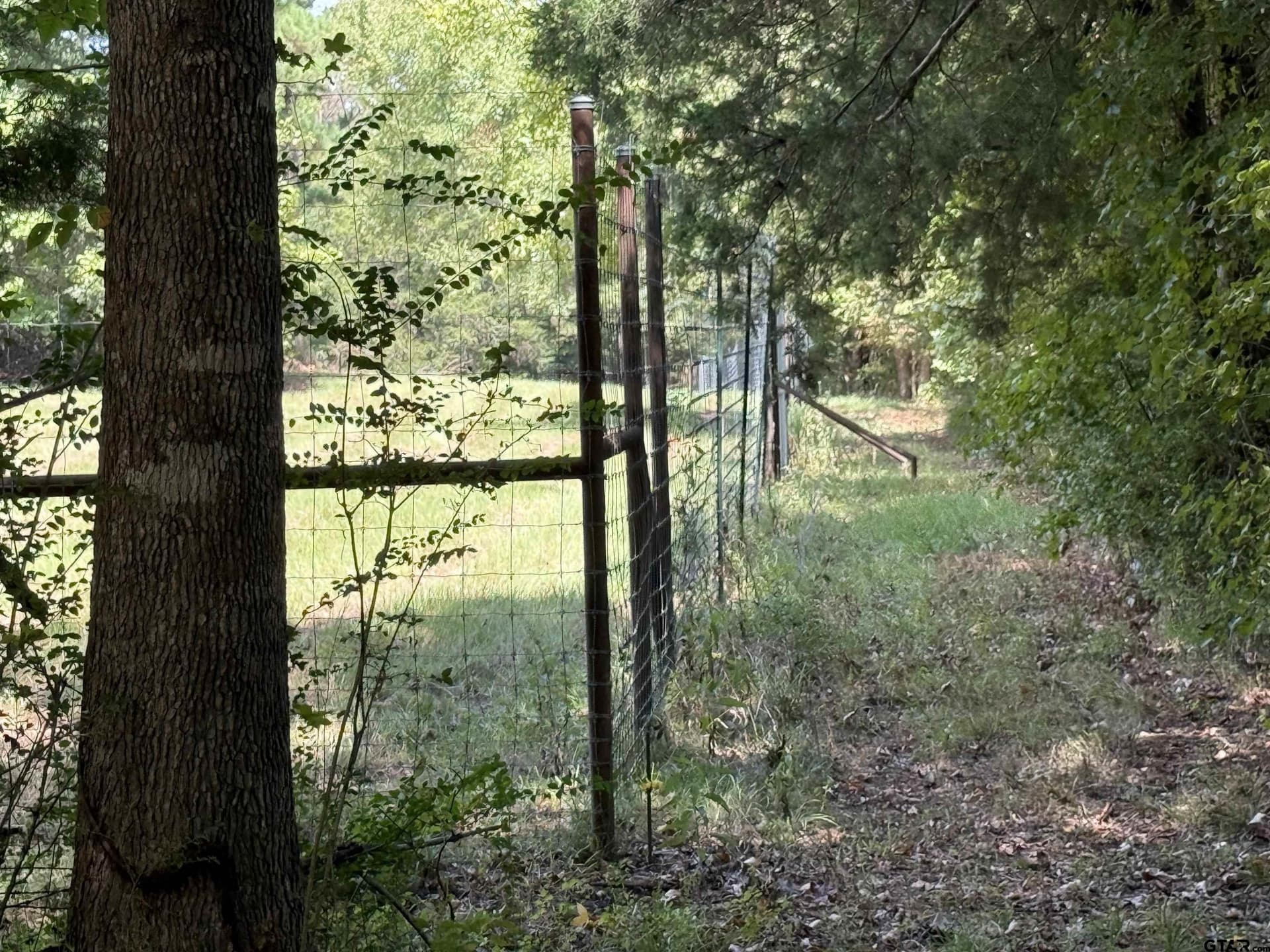 27.56 acres in Cherokee County - photo 9