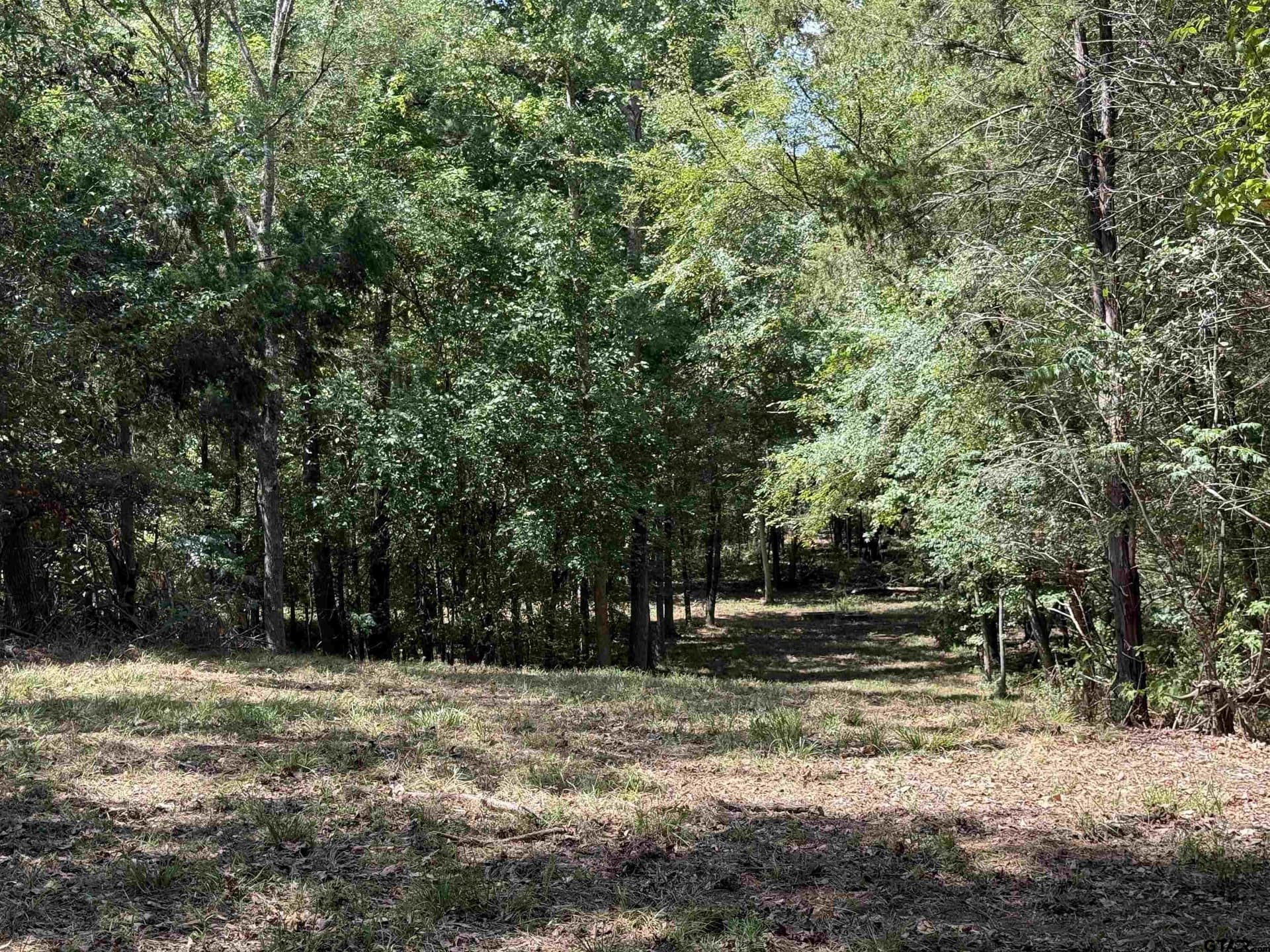 27.56 acres in Cherokee County - photo 16