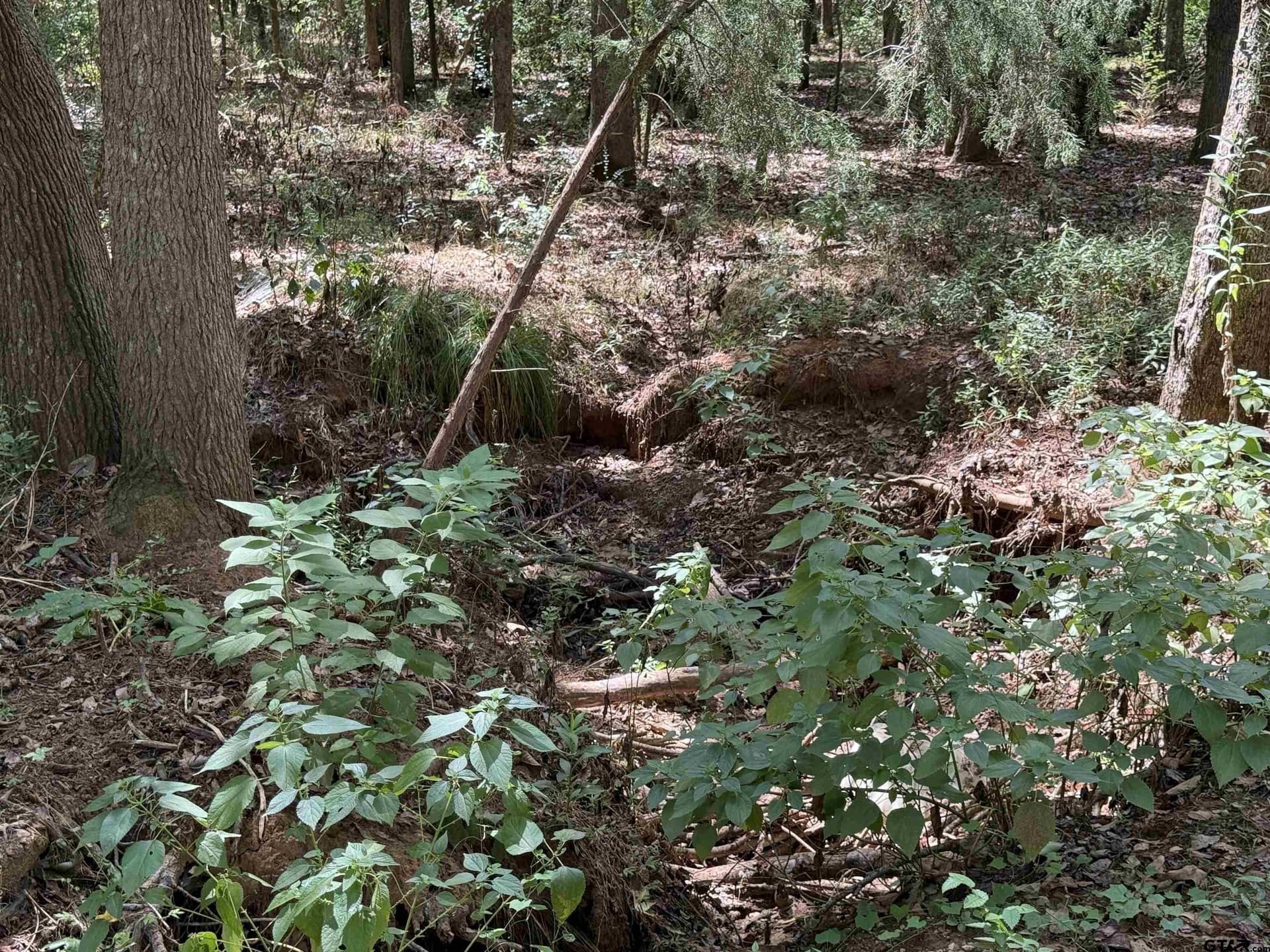 27.56 acres in Cherokee County - photo 20