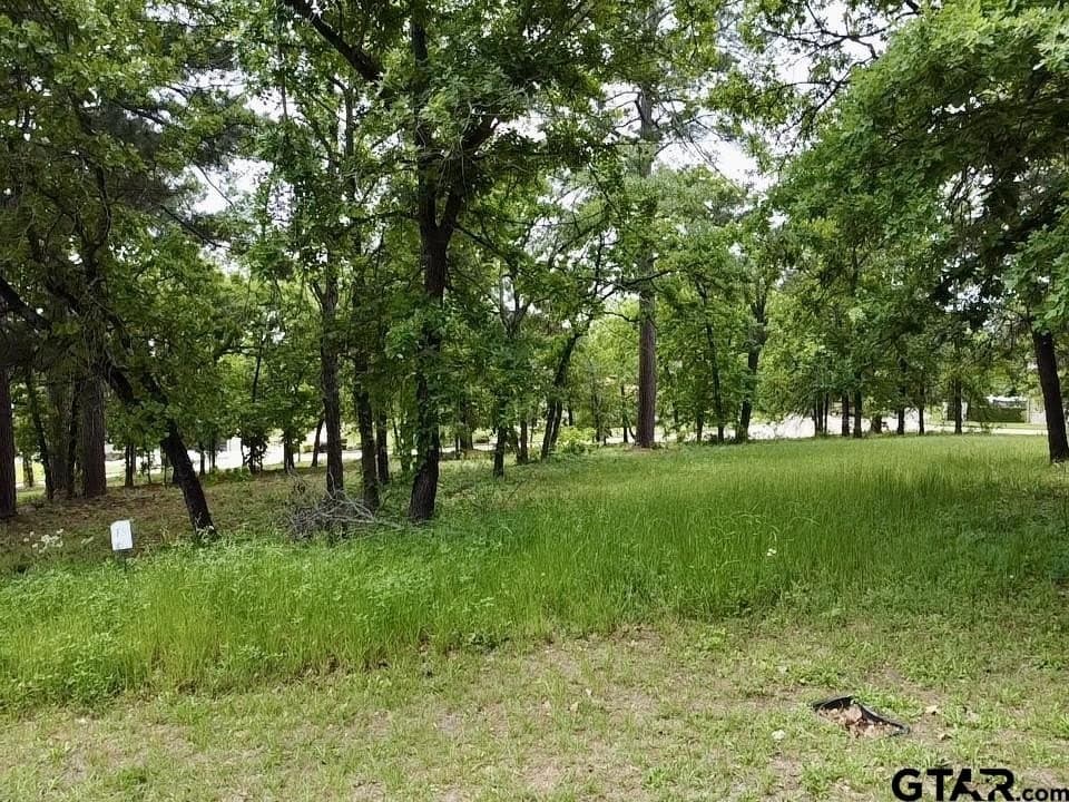 0.53 acres in Smith County gallery image 3