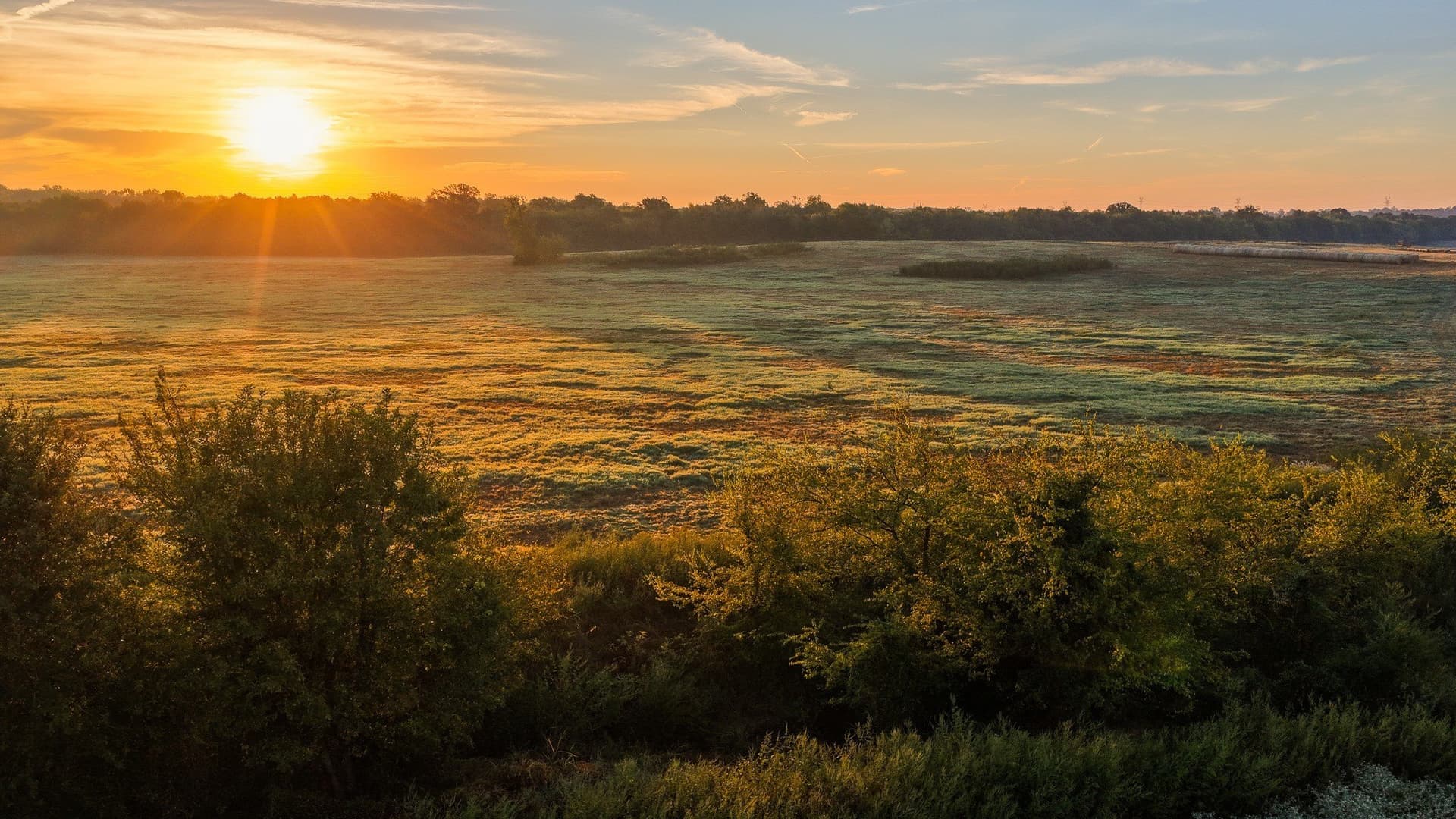 1,017.73 acres in Hopkins County - photo 21