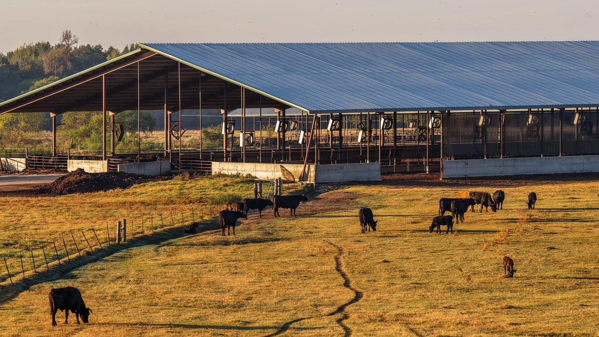 1,017.73 acres in Hopkins County - photo 8