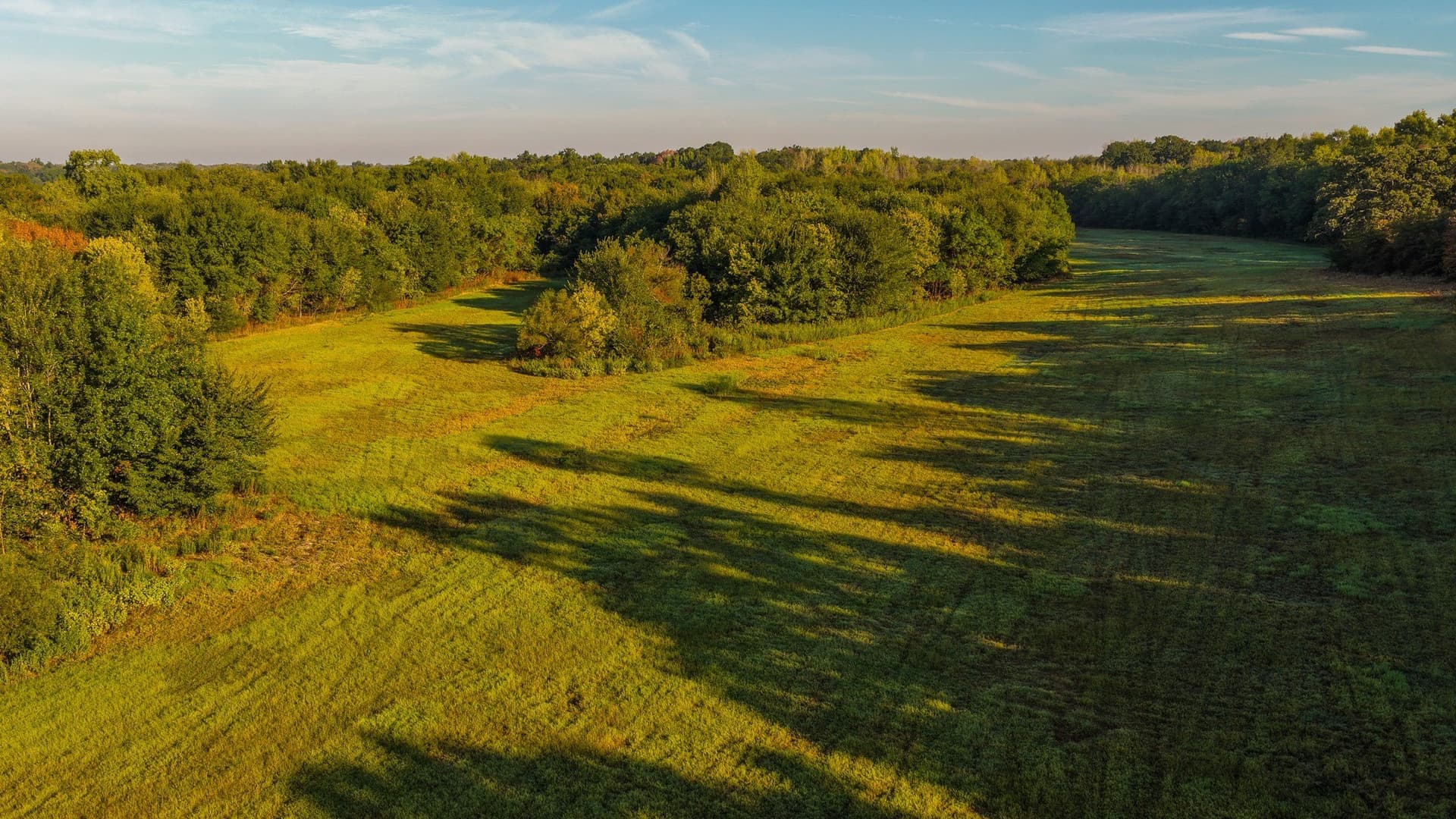 1,017.73 acres in Hopkins County - photo 33