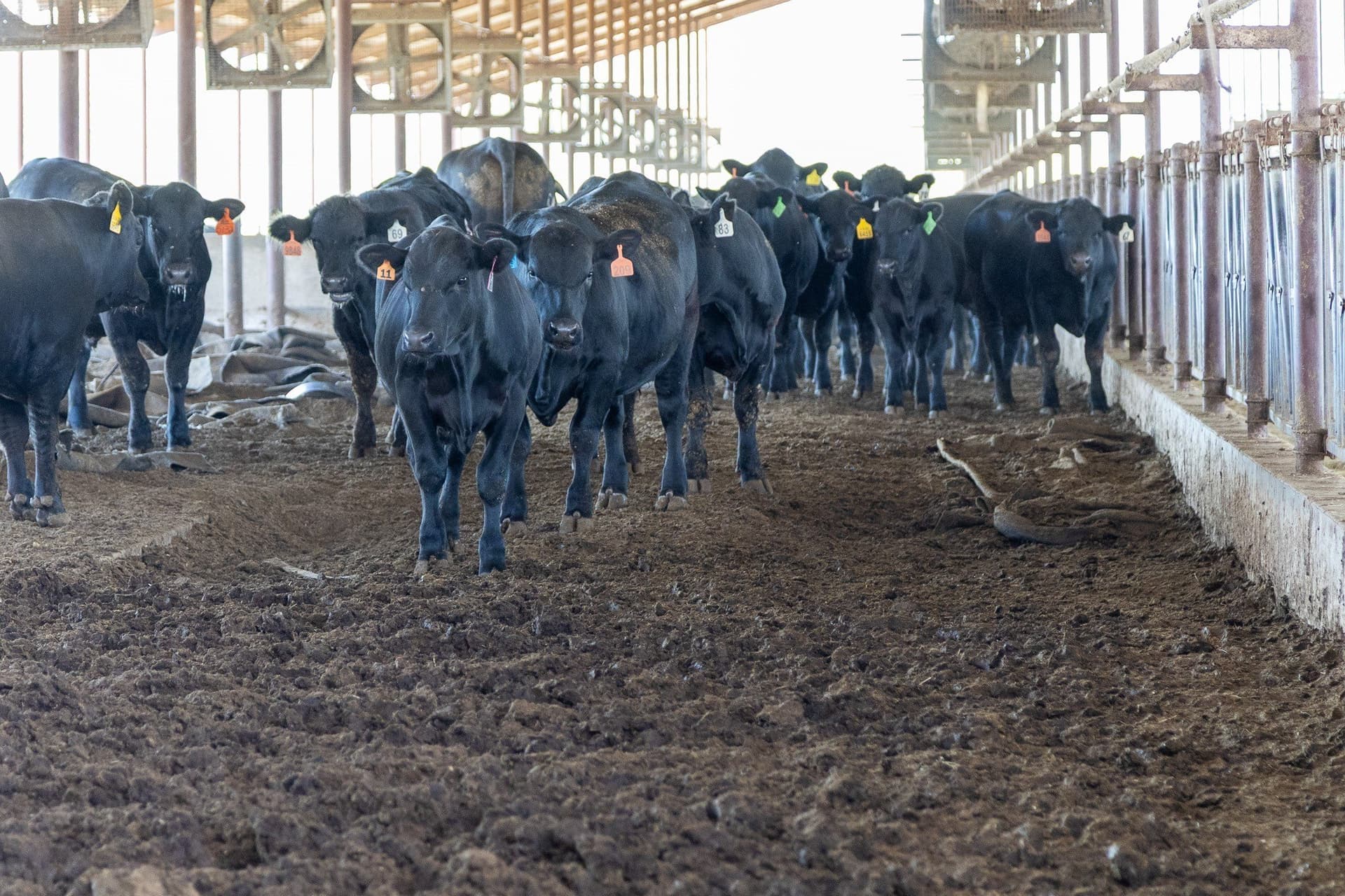 1,017.73 acres in Hopkins County - photo 14