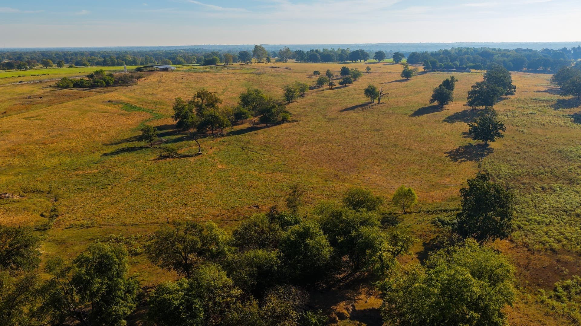 1,017.73 acres in Hopkins County - photo 35