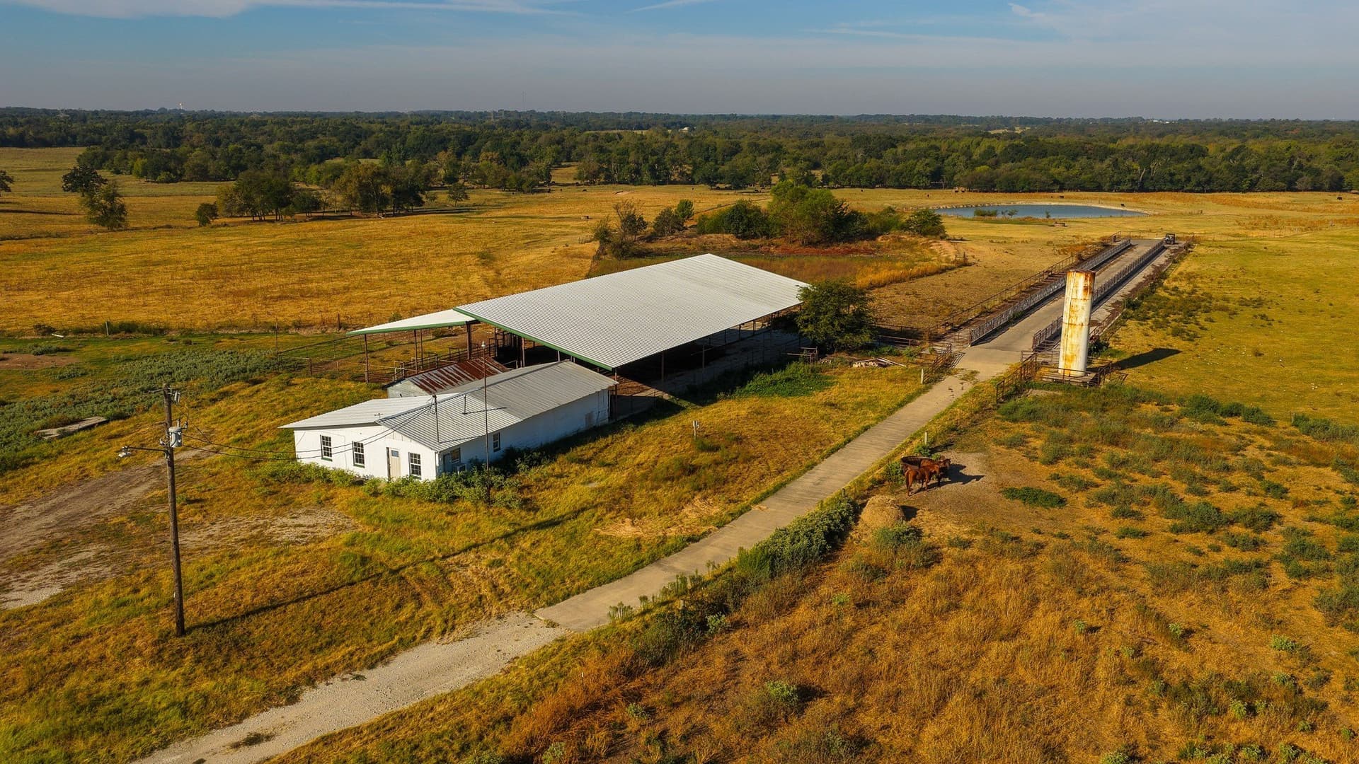1,017.73 acres in Hopkins County - photo 31