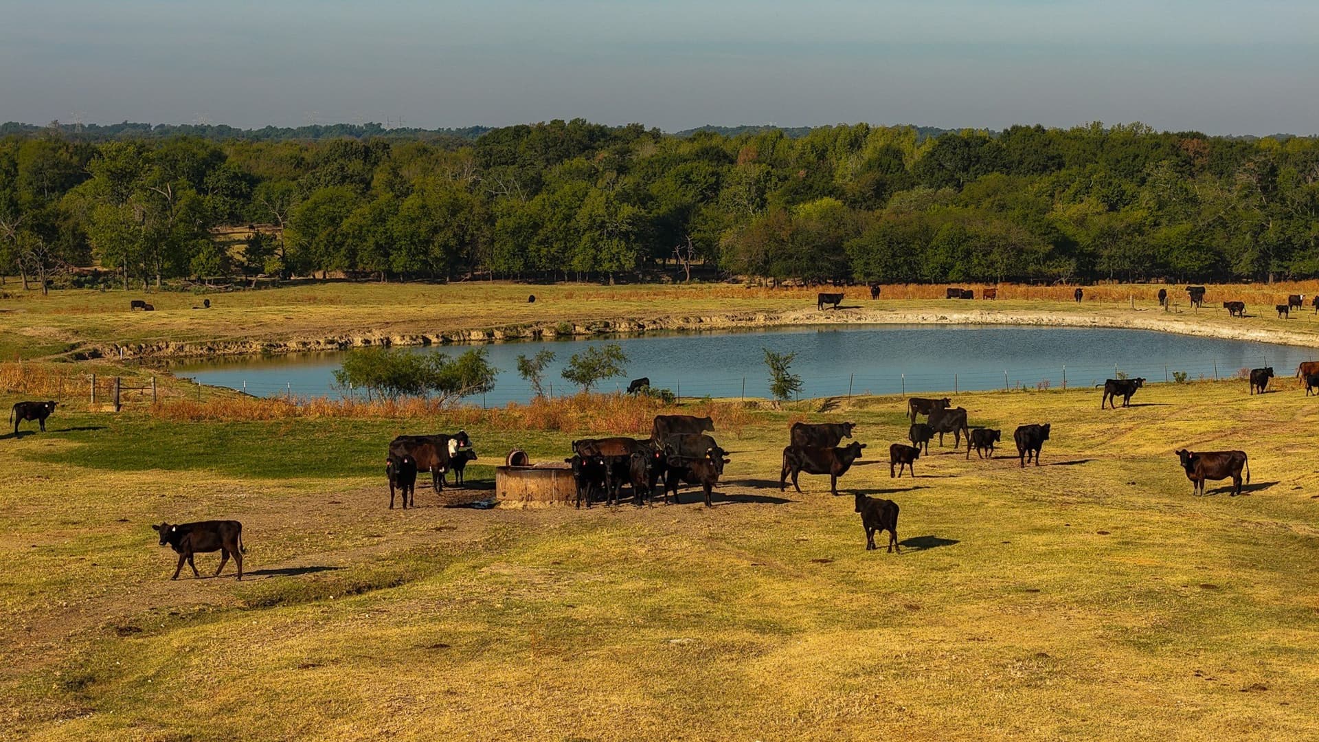 1,017.73 acres in Hopkins County - photo 34