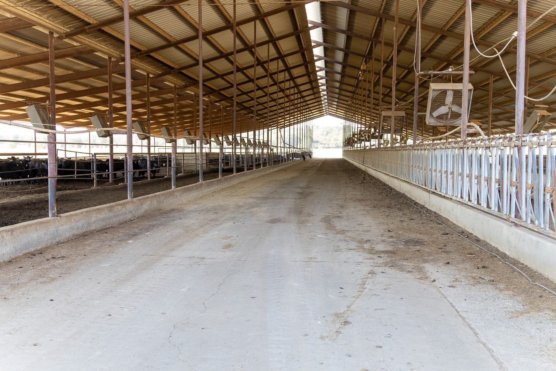 1,017.73 acres in Hopkins County - photo 13