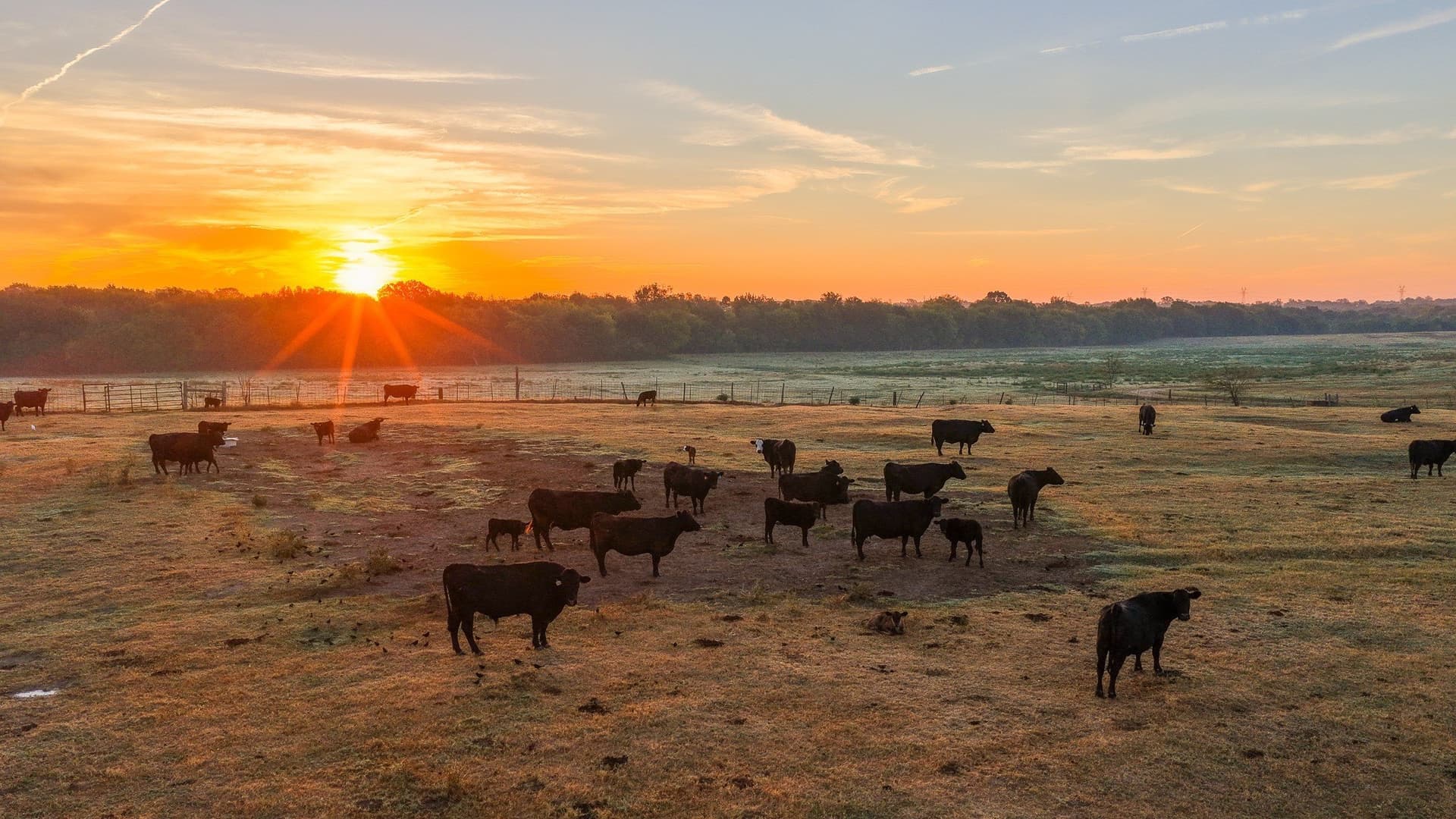 1,017.73 acres in Hopkins County - photo 19