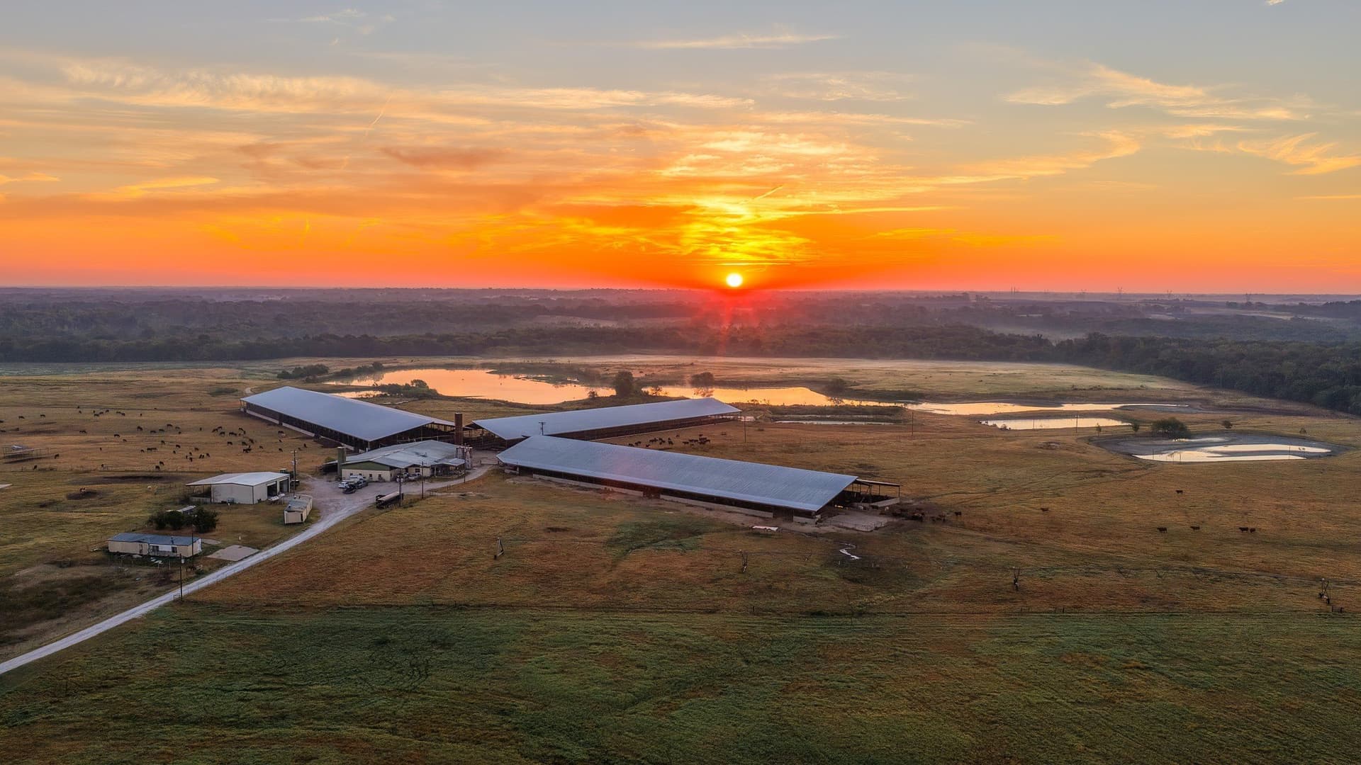 1,017.73 acres in Hopkins County
