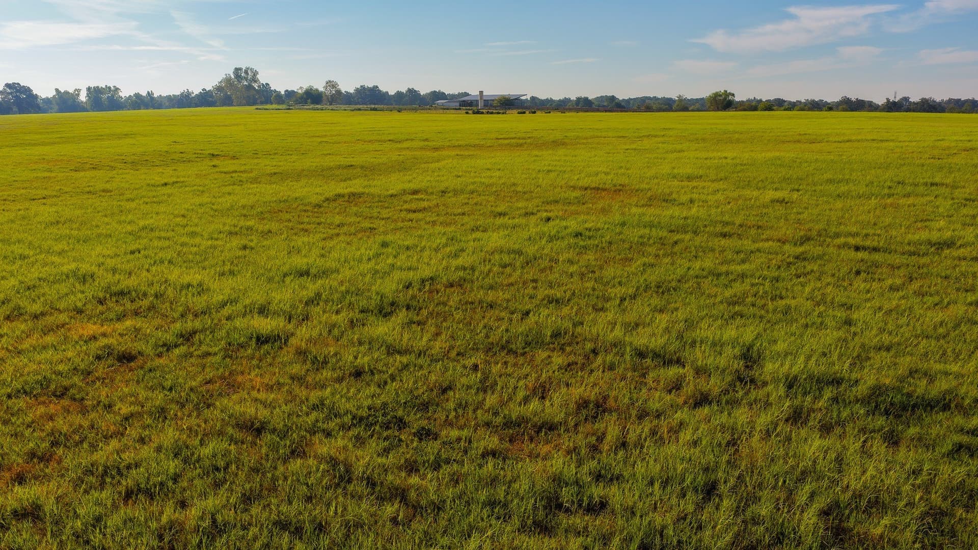 1,017.73 acres in Hopkins County - photo 37
