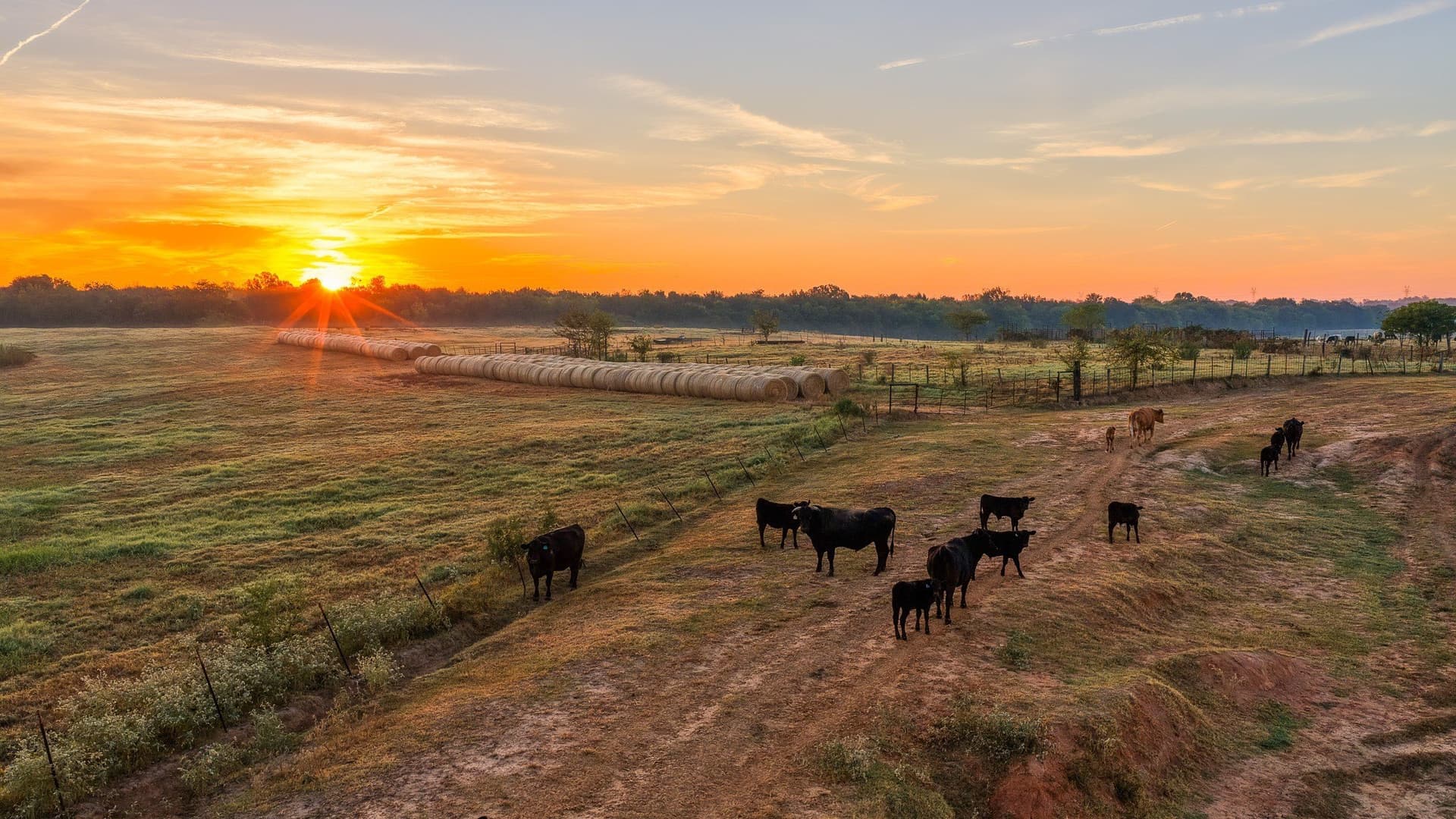 1,017.73 acres in Hopkins County - photo 17
