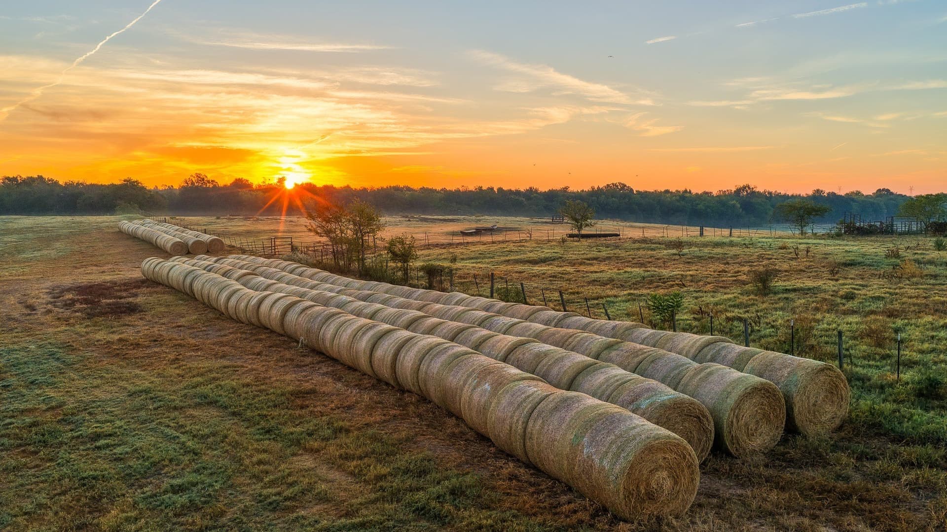 1,017.73 acres in Hopkins County - photo 18