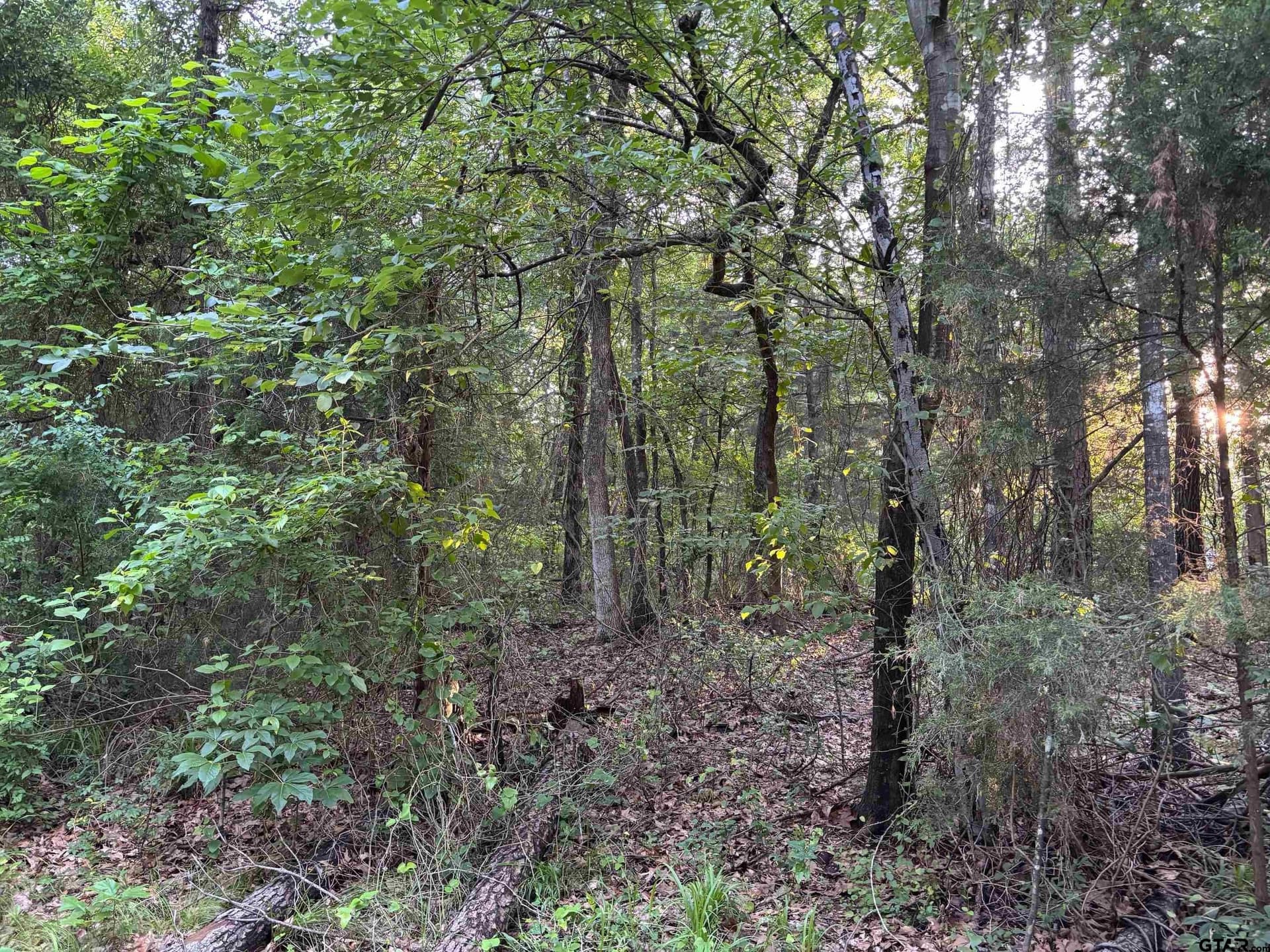 0 acres in Franklin County gallery image 2