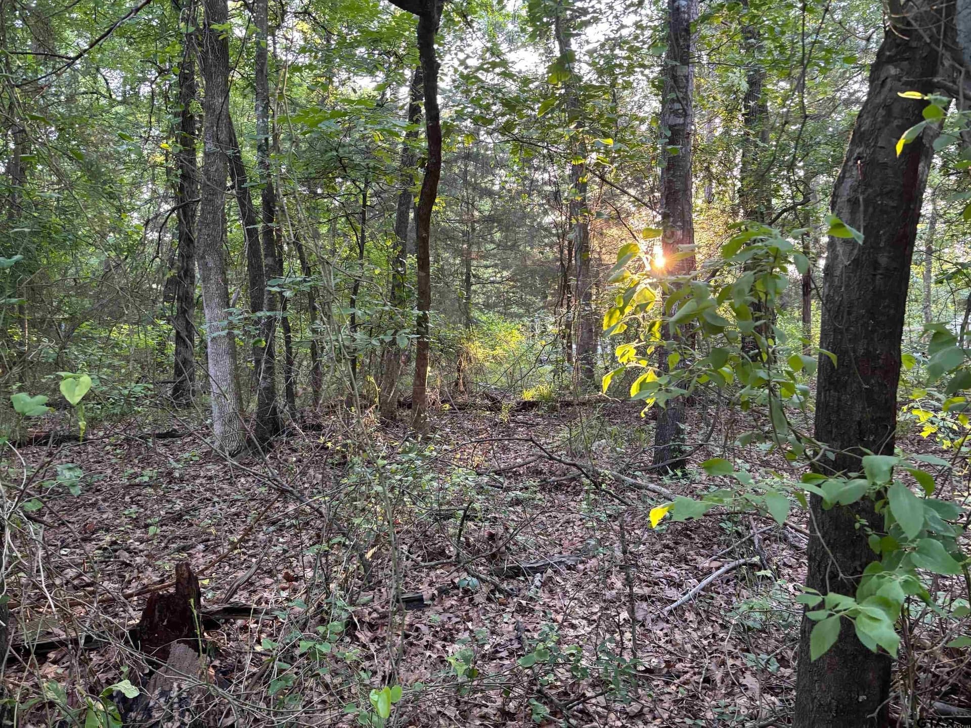 0 acres in Franklin County gallery image 3
