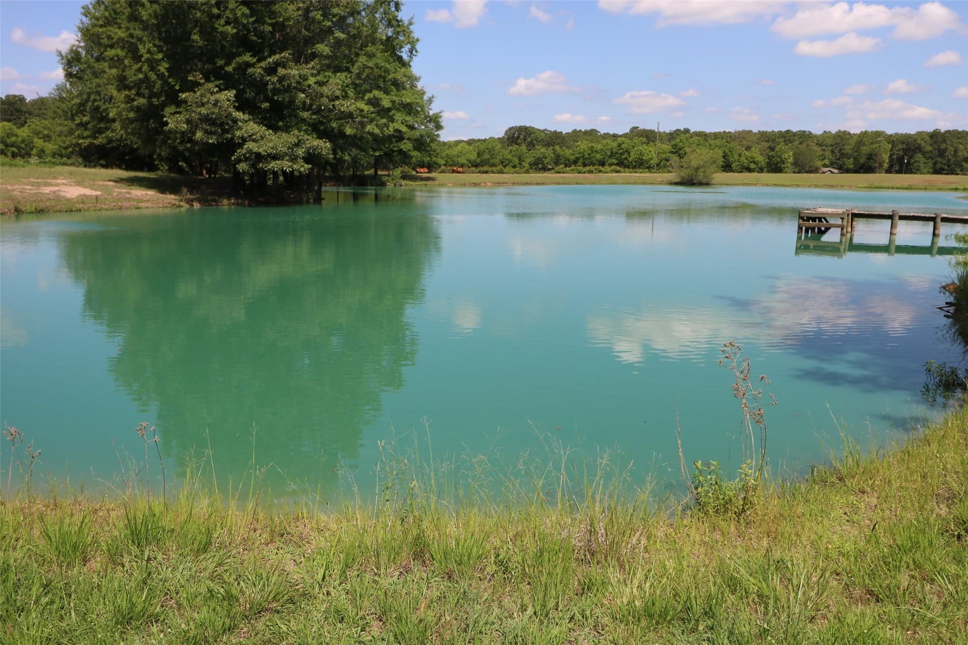 19.36 acres in Lamar County