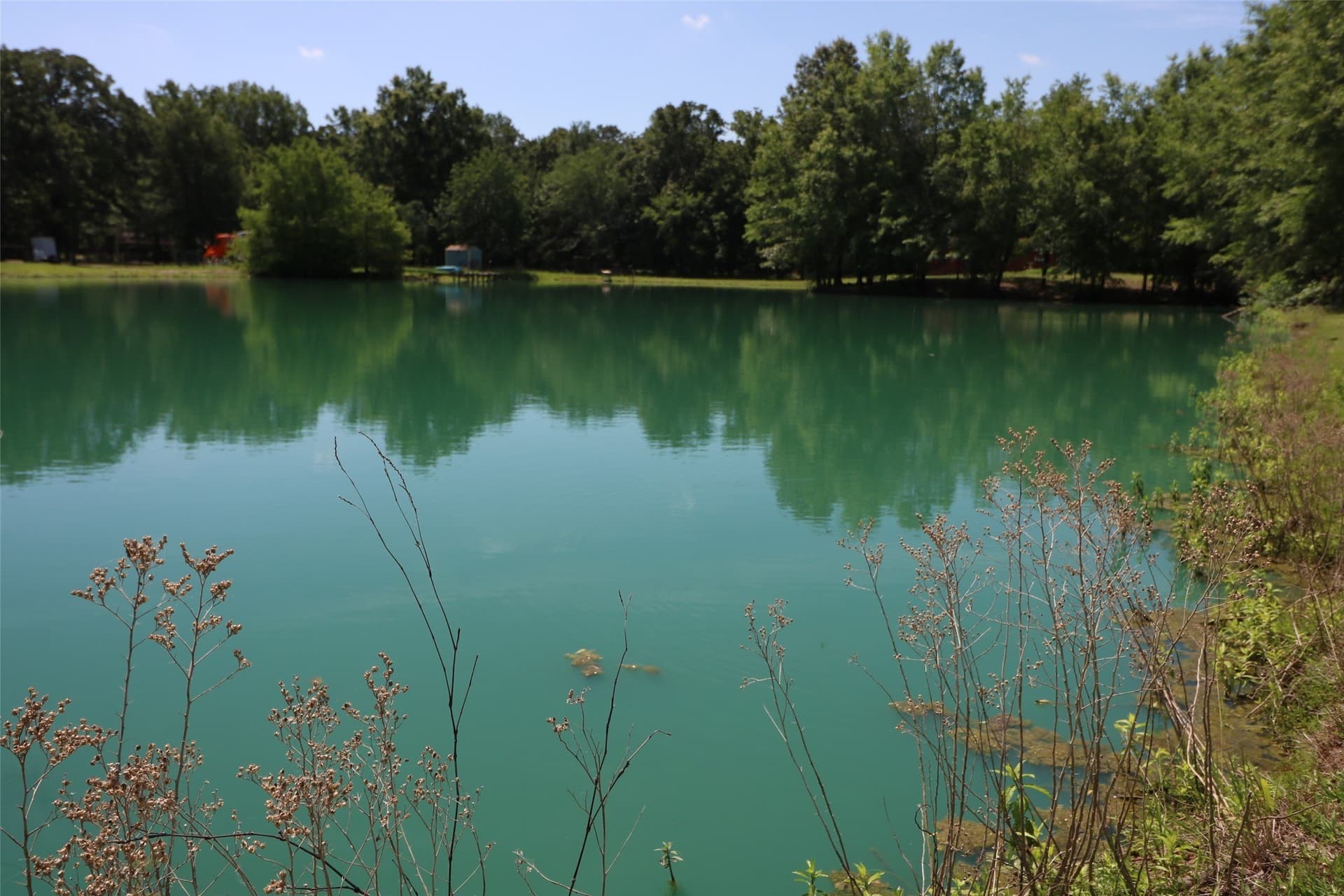 19.36 acres in Lamar County gallery image 2